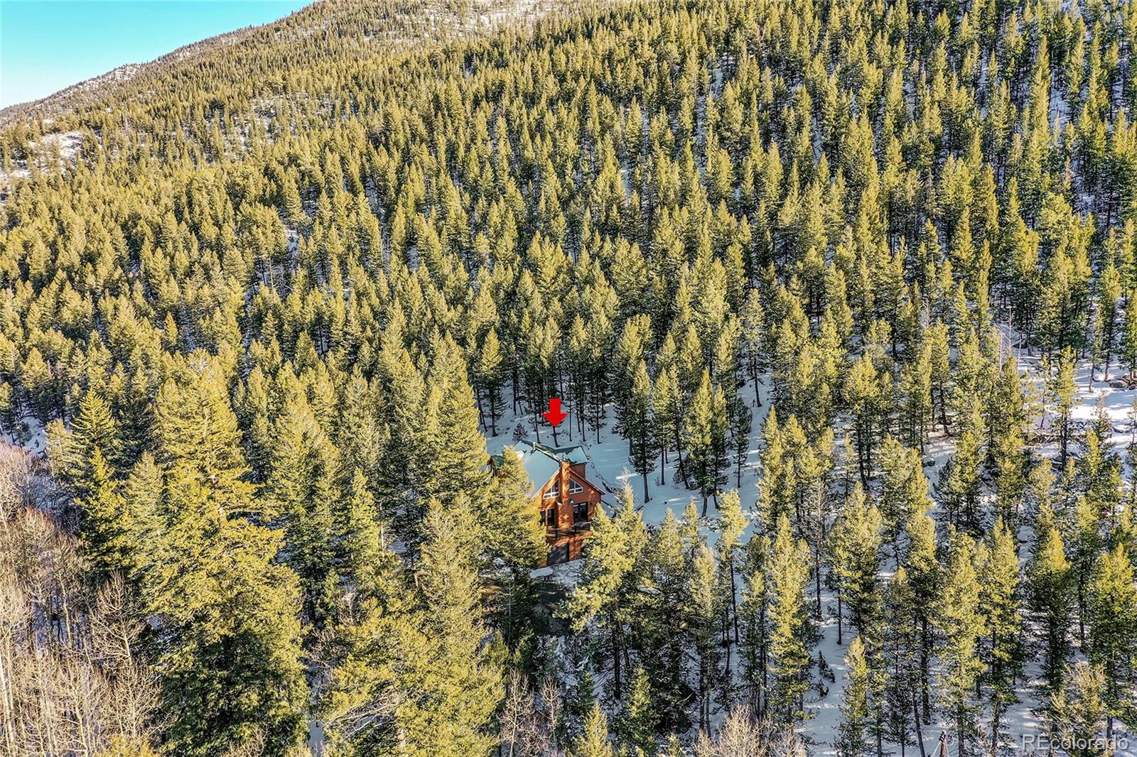120 Capital Rd, Dumont, CO 80436