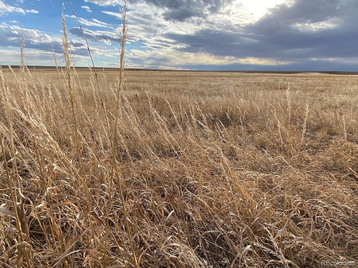 Tbd East 96th Ave, Byers, CO 80103