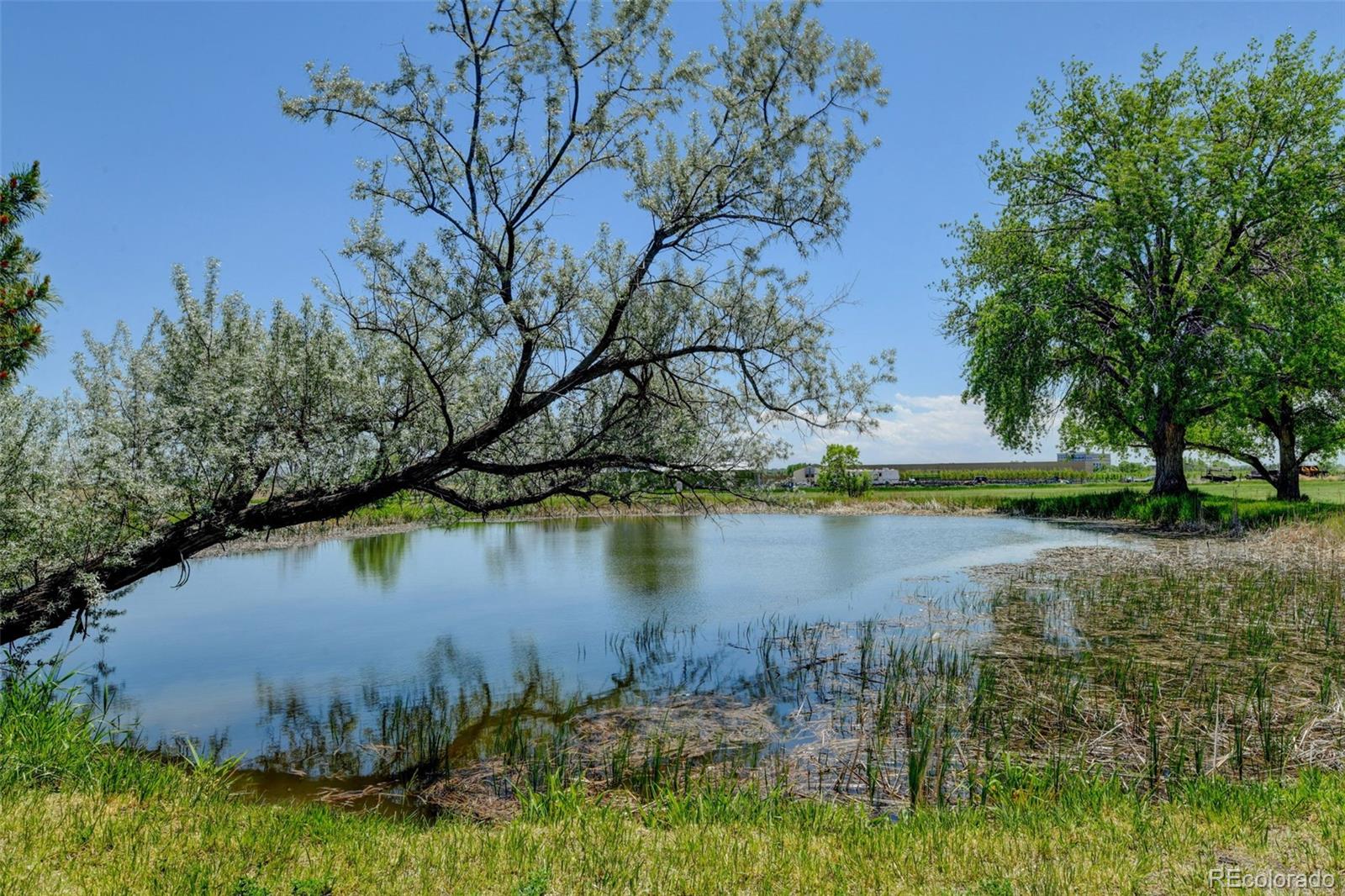 15250 E 132nd Ave, Brighton, CO 80601