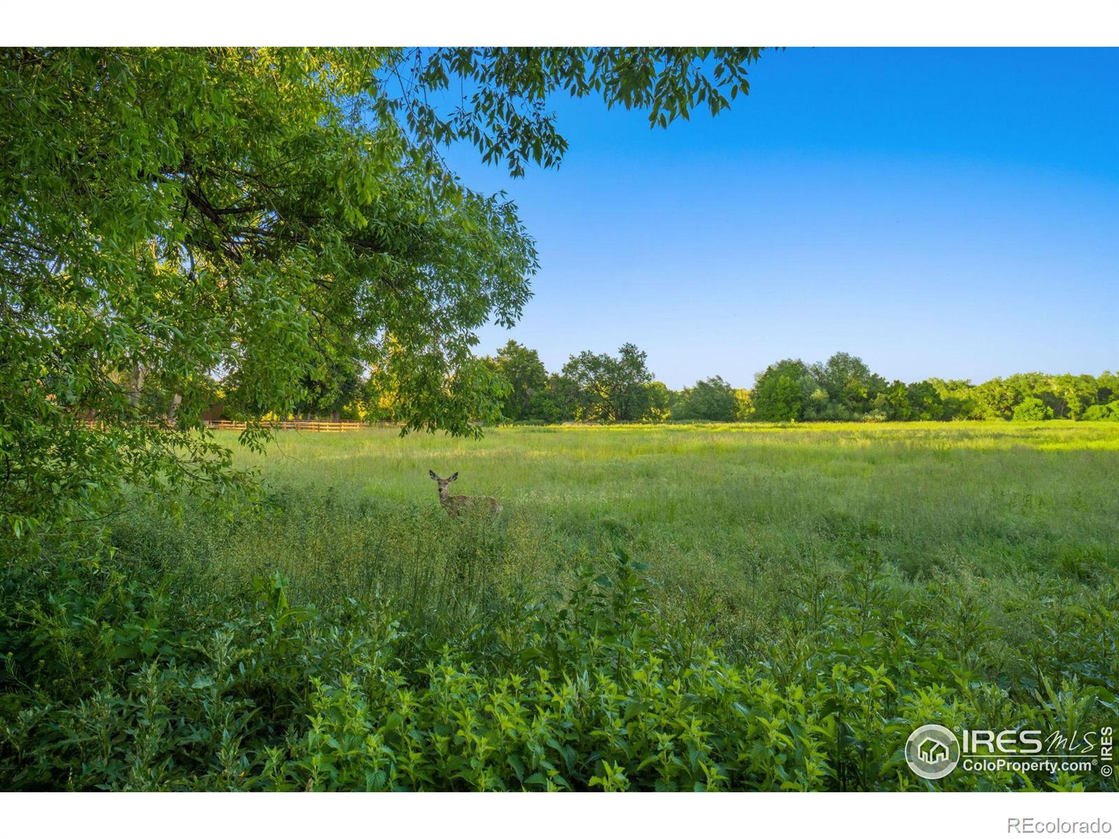 2700 N County Road 23, Bellvue, CO 80512