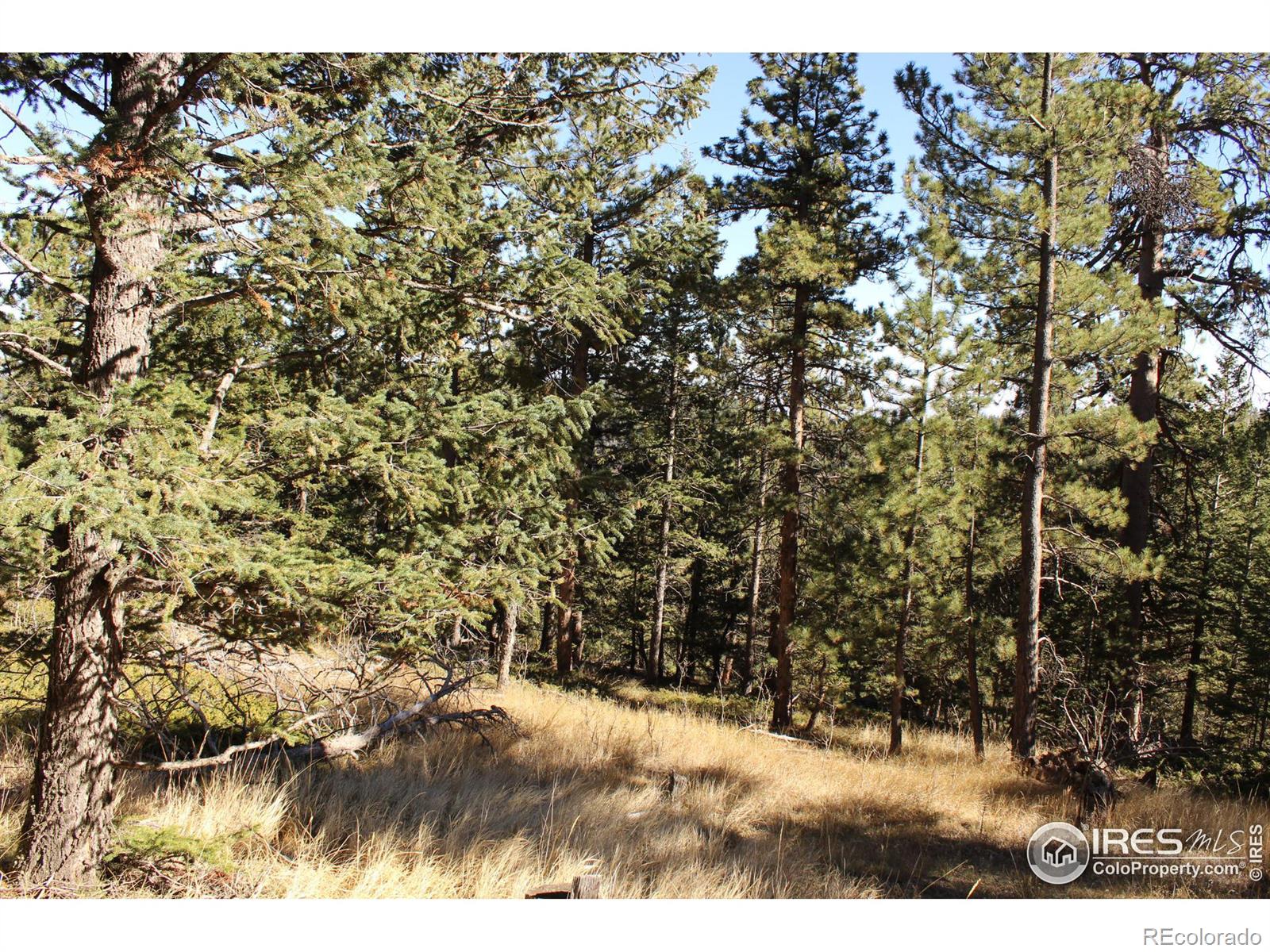 509 Forest Service, Jamestown, CO 80455