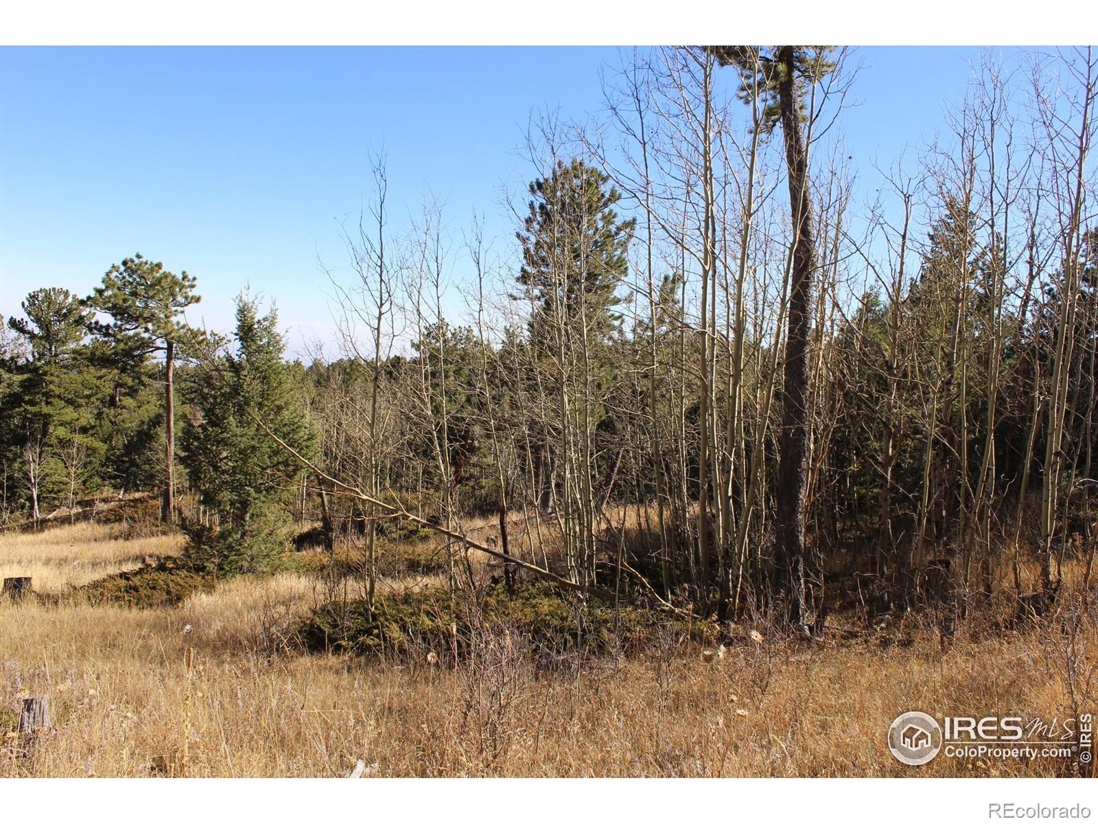 509 Forest Service, Jamestown, CO 80455