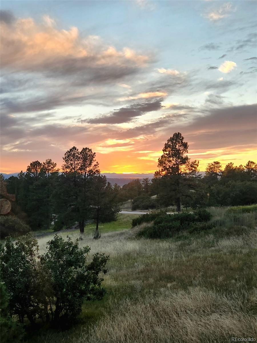 8304 Burning Tree Dr, Franktown, CO 80116