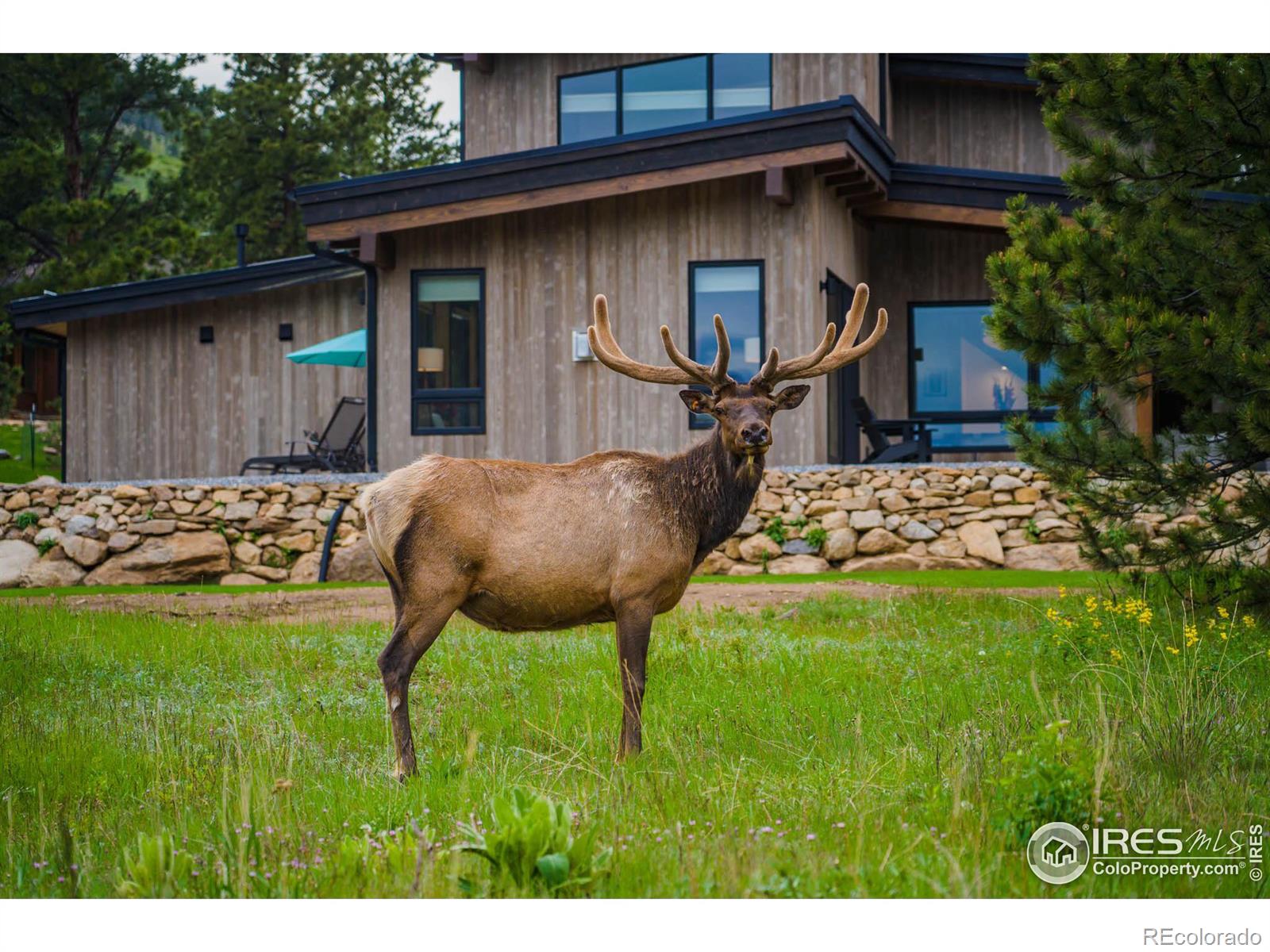 2774 Ypsilon Cir, Estes Park, CO 80517