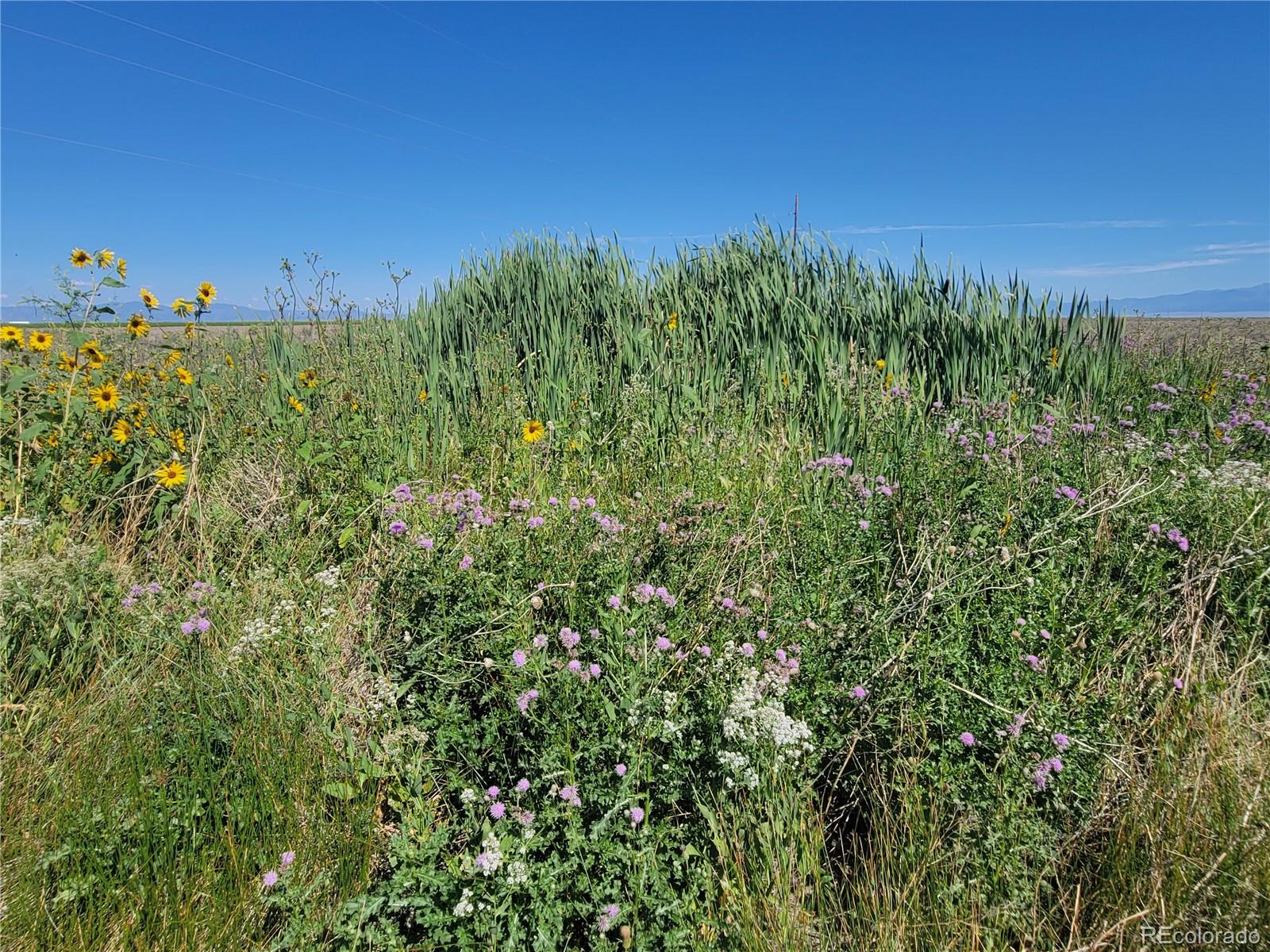 00 Hw 17, Hooper, CO 81136