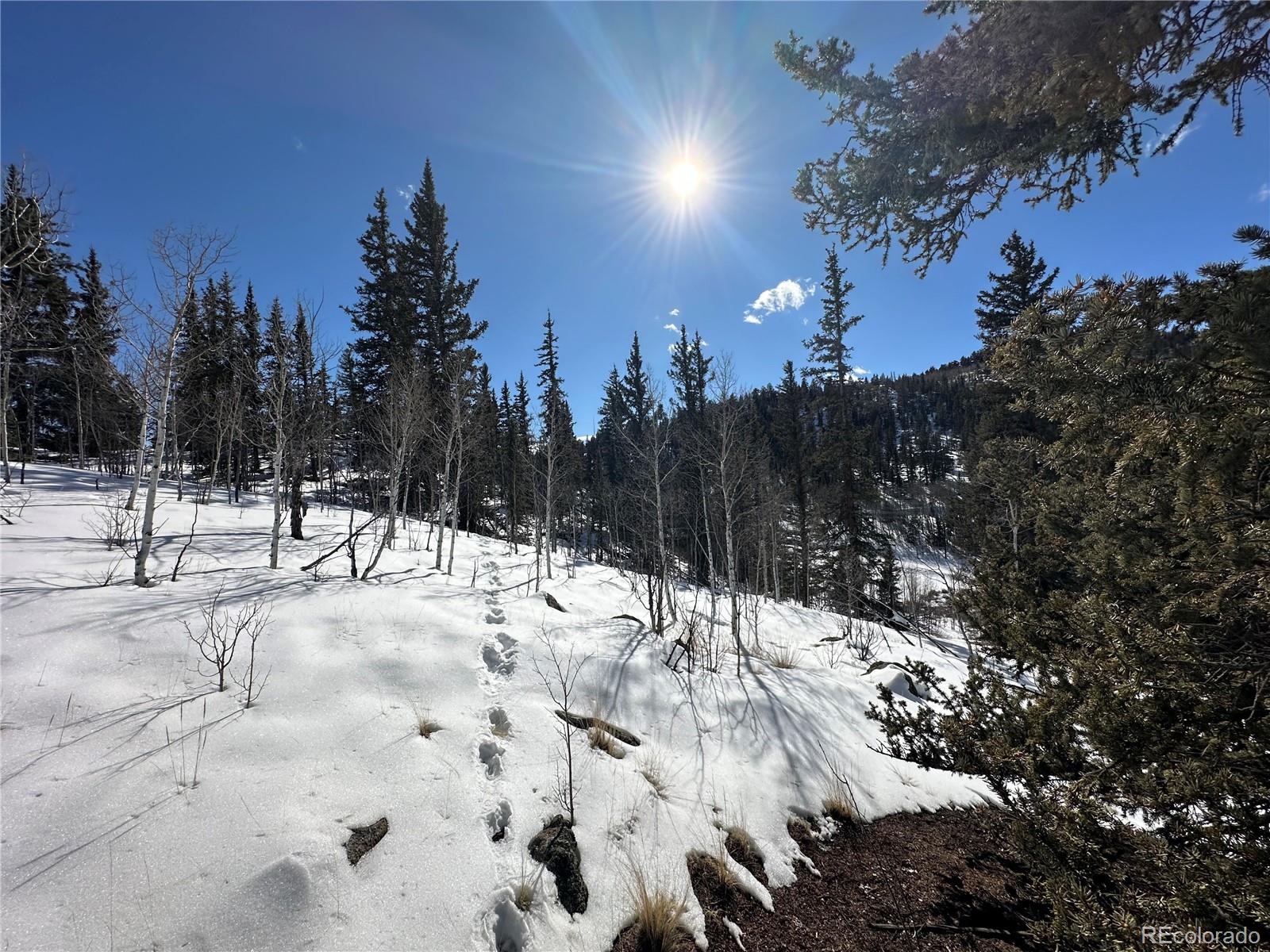 2092 Stagestop Rd, Jefferson, CO 80456