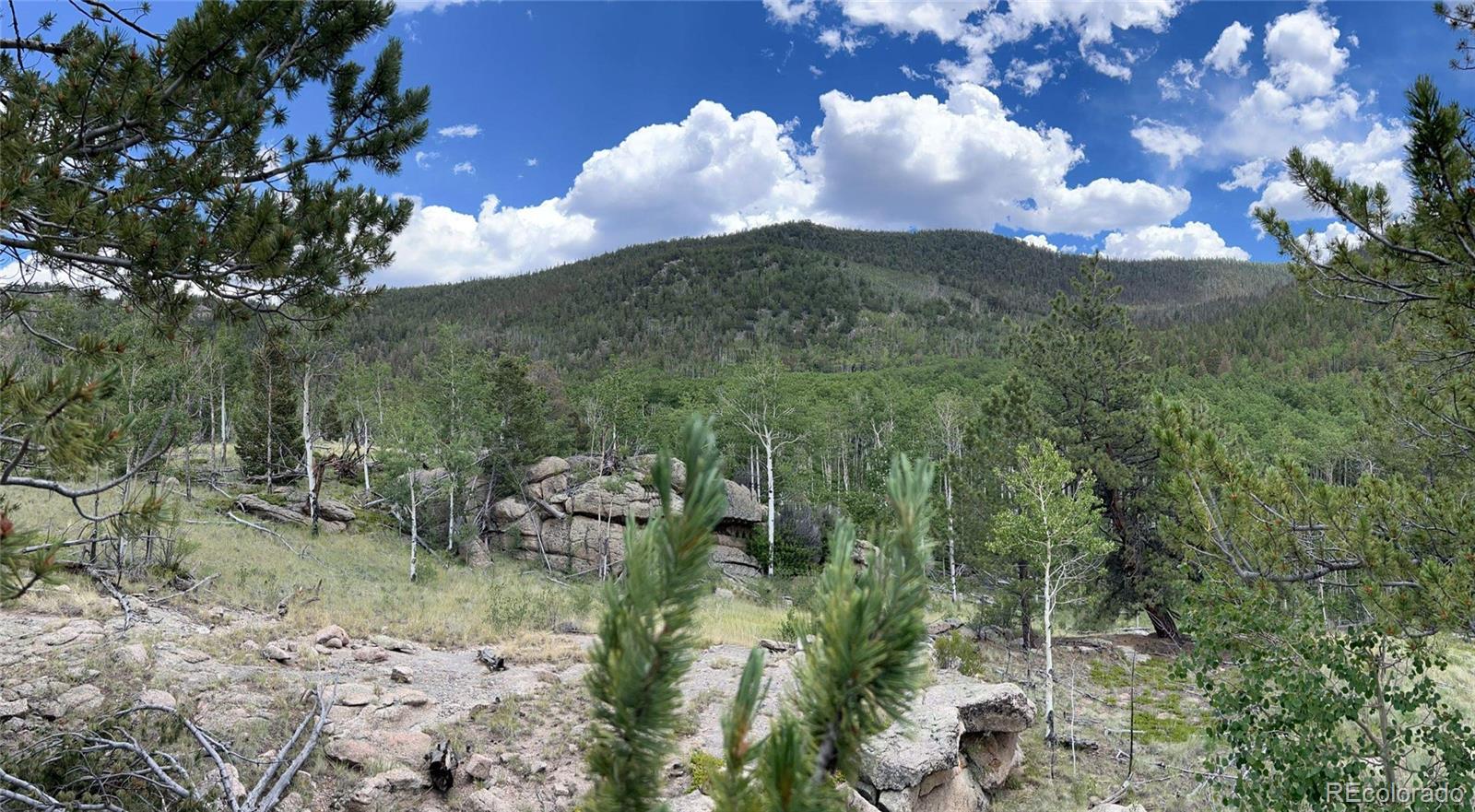 2942 County Road 333, Lake George, CO 80827