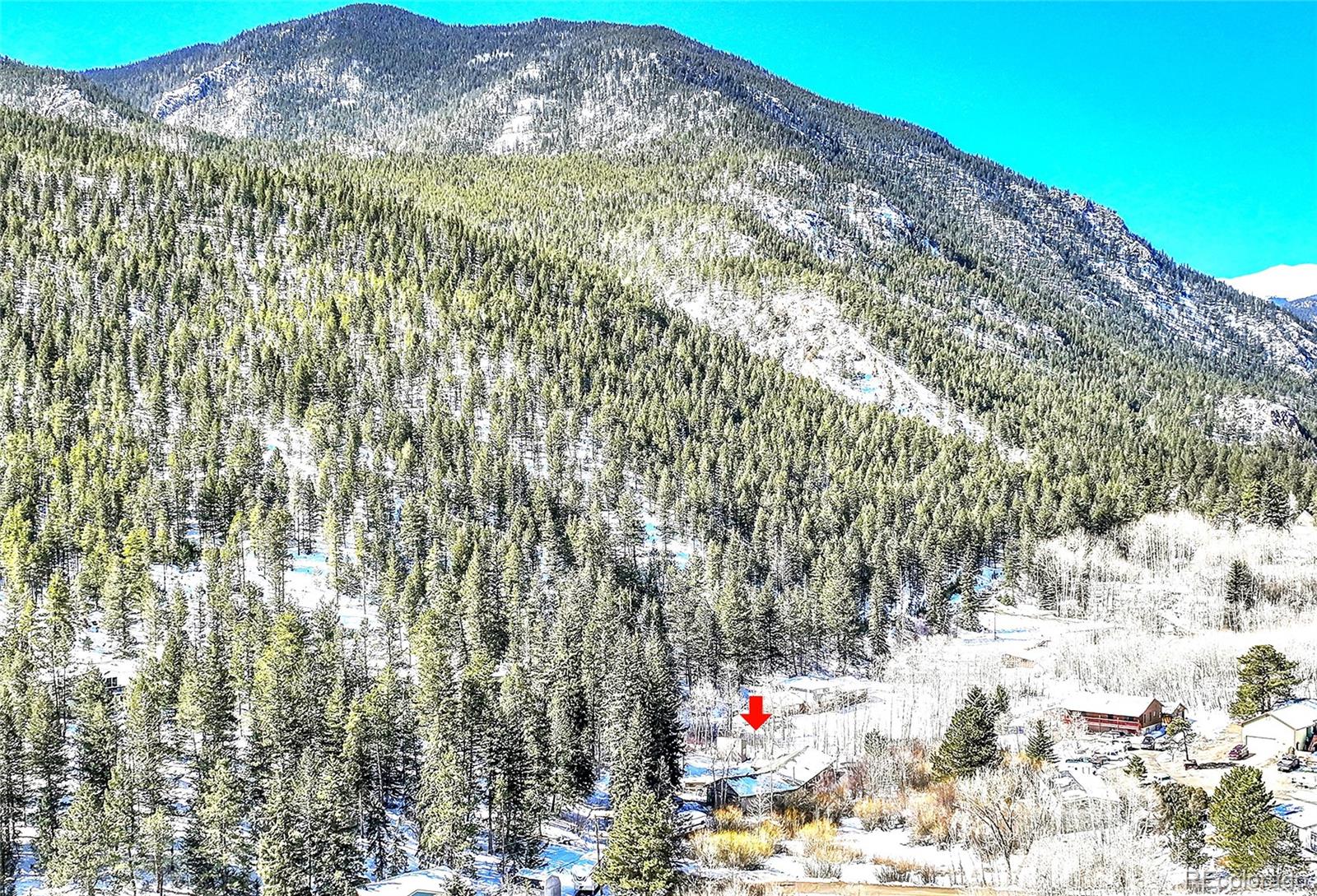 436 Silver Lakes Dr, Dumont, CO 80436