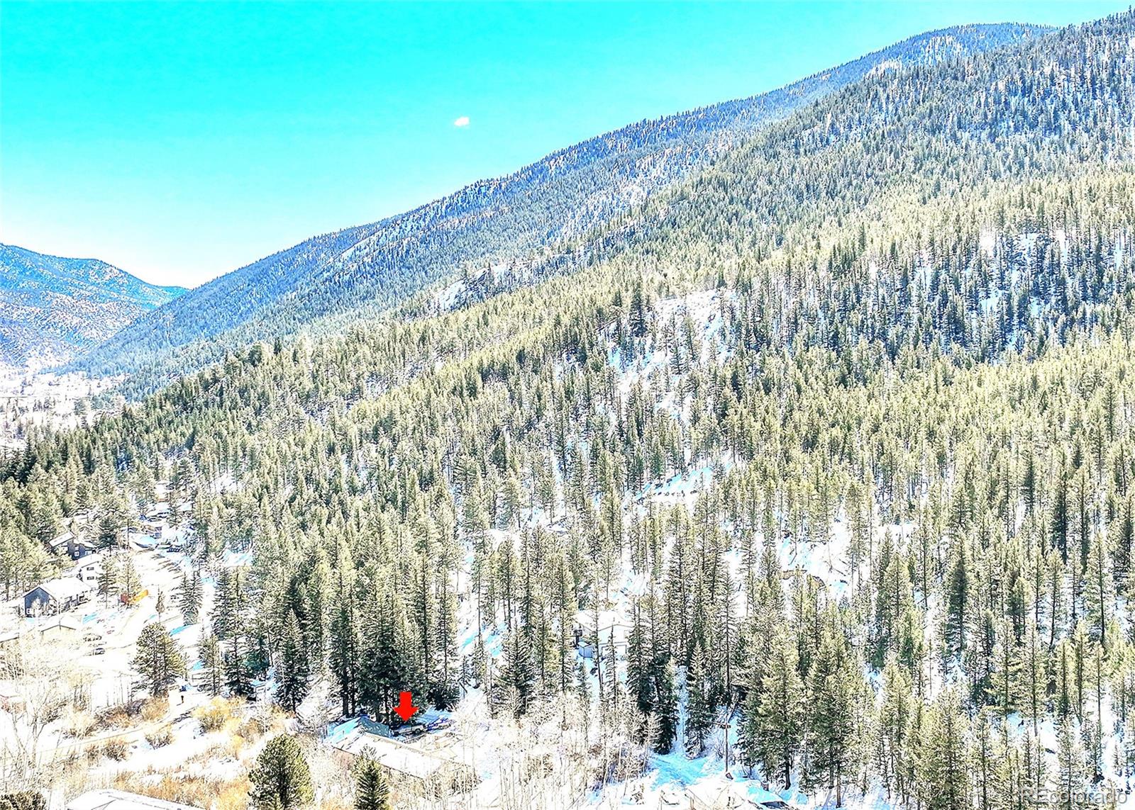 436 Silver Lakes Dr, Dumont, CO 80436