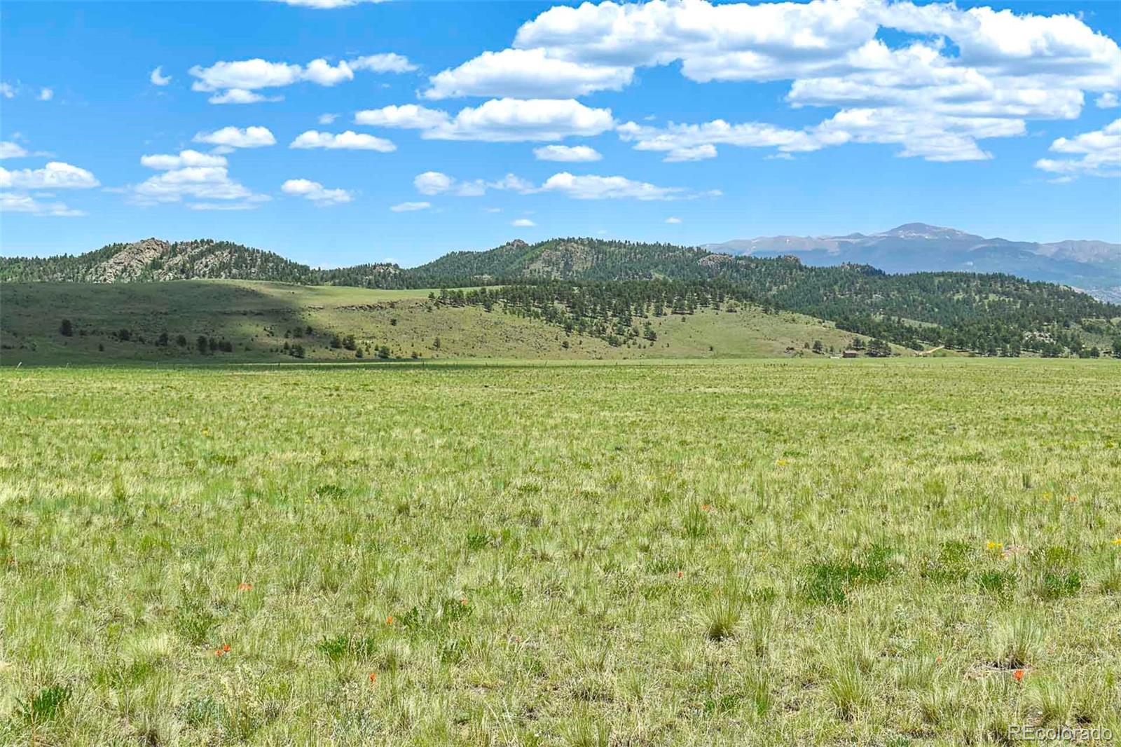 County Road 63, Guffey, CO 80820