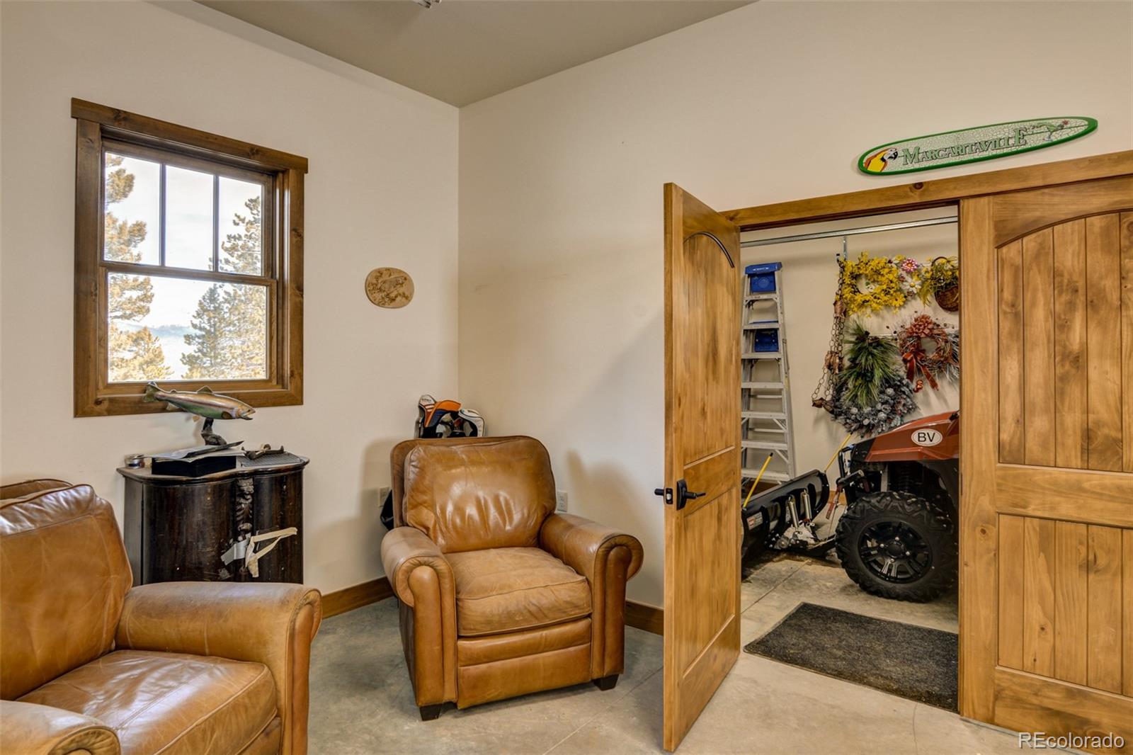 30363 National Forest Dr, Buena Vista, CO 81211