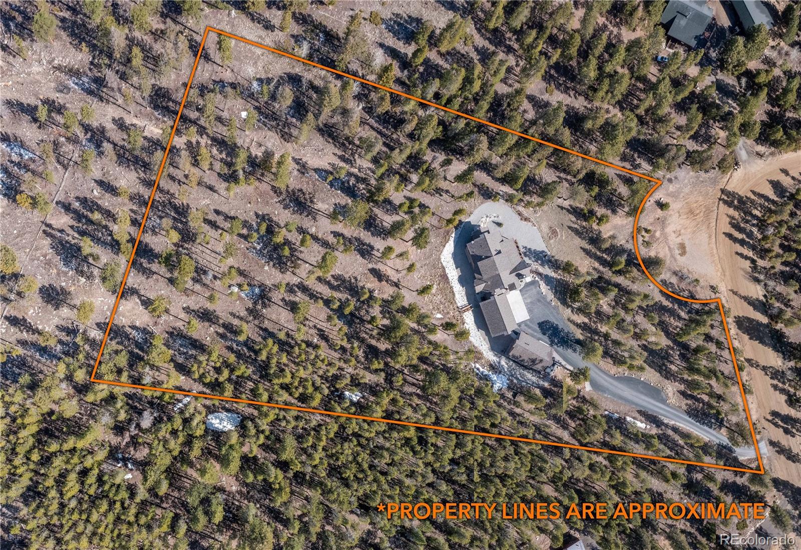 30363 National Forest Dr, Buena Vista, CO 81211