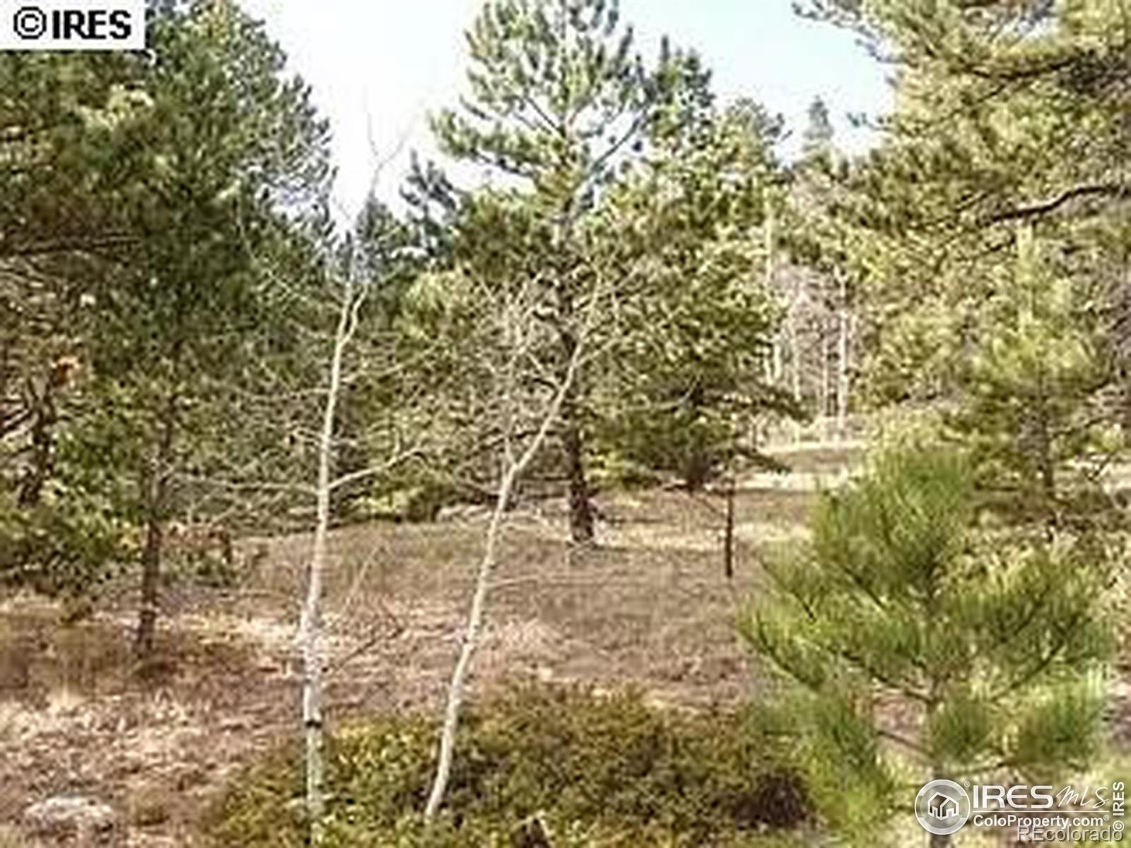 98 Crestridge Rd, Jamestown, CO 80455