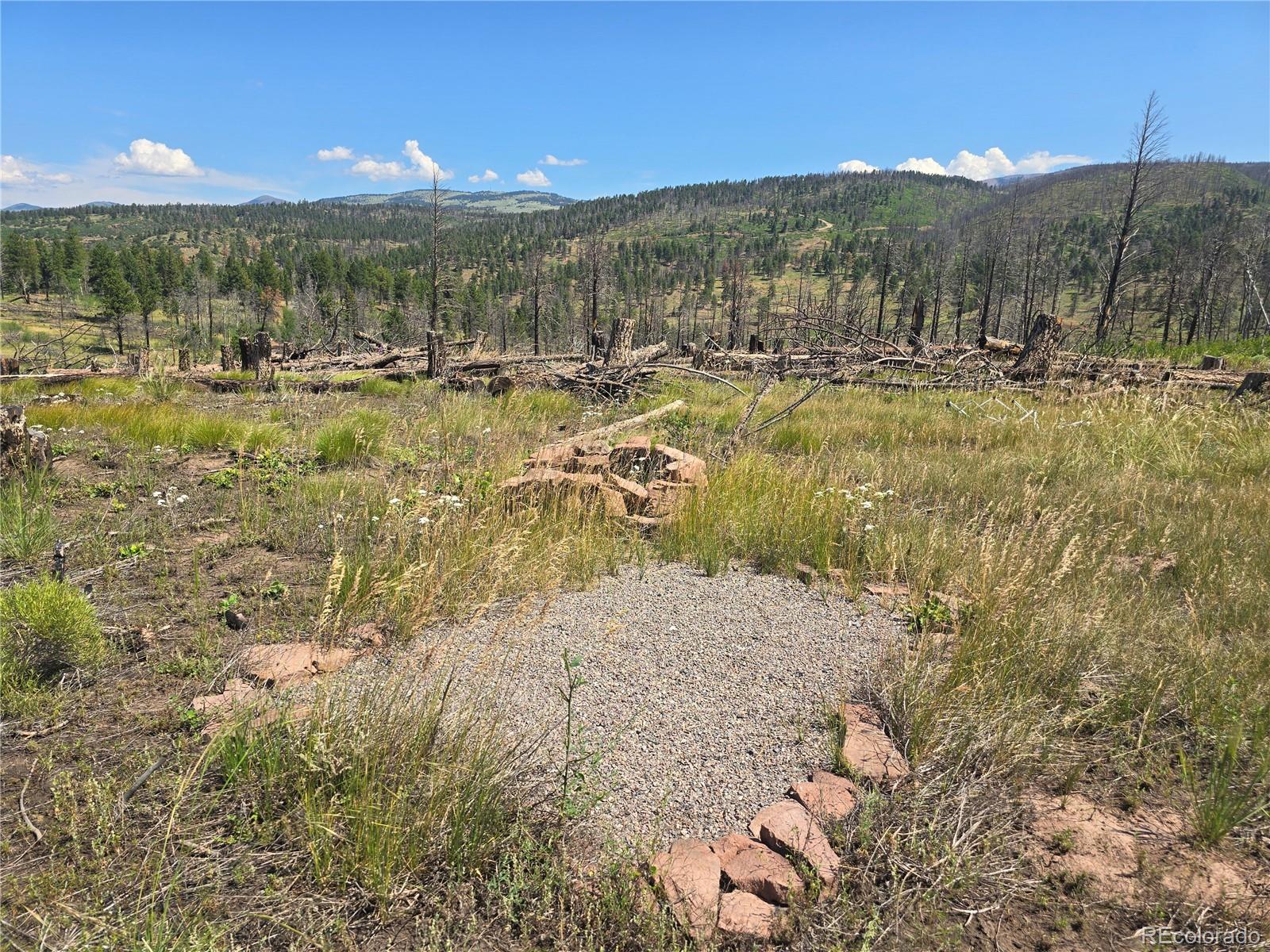 695 Cogbill Dr, Fort Garland, CO 81133