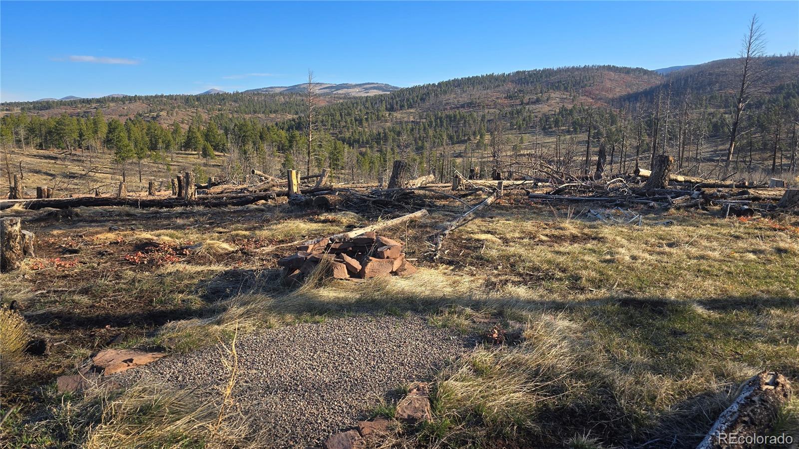 695 Cogbill Dr, Fort Garland, CO 81133