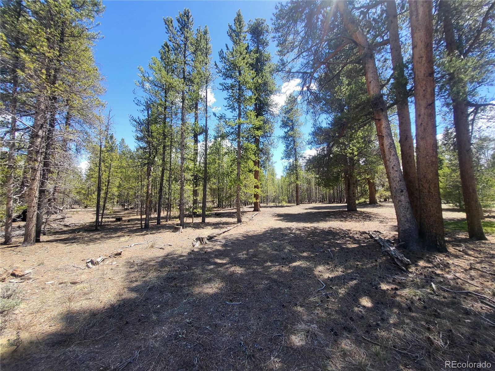 416 Spruce Dr, Twin Lakes, CO 80461