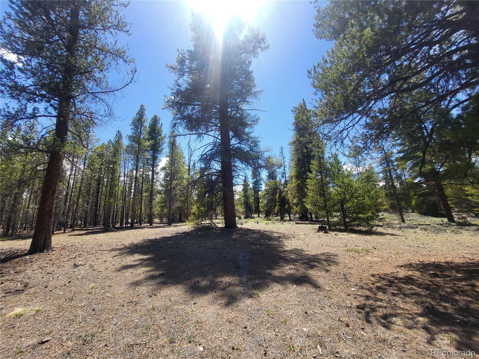 416 Spruce Dr, Twin Lakes, CO 80461