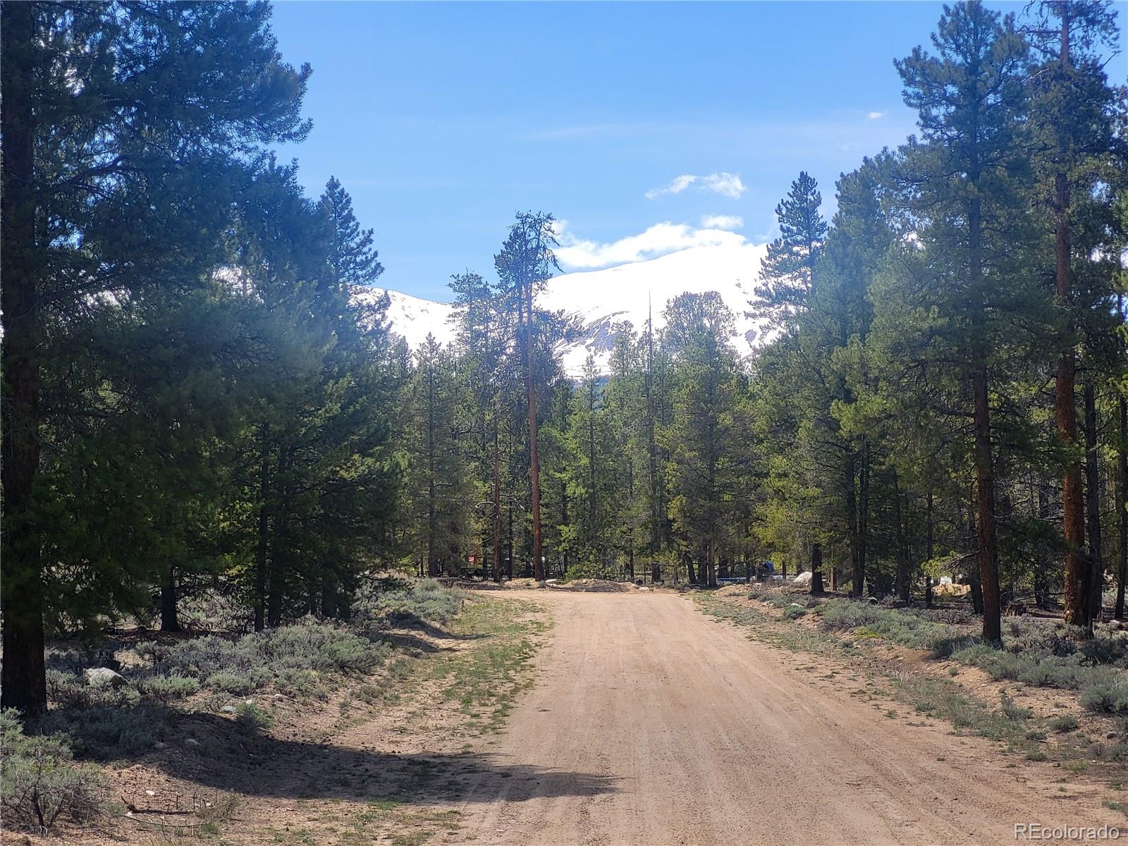 416 Spruce Dr, Twin Lakes, CO 80461