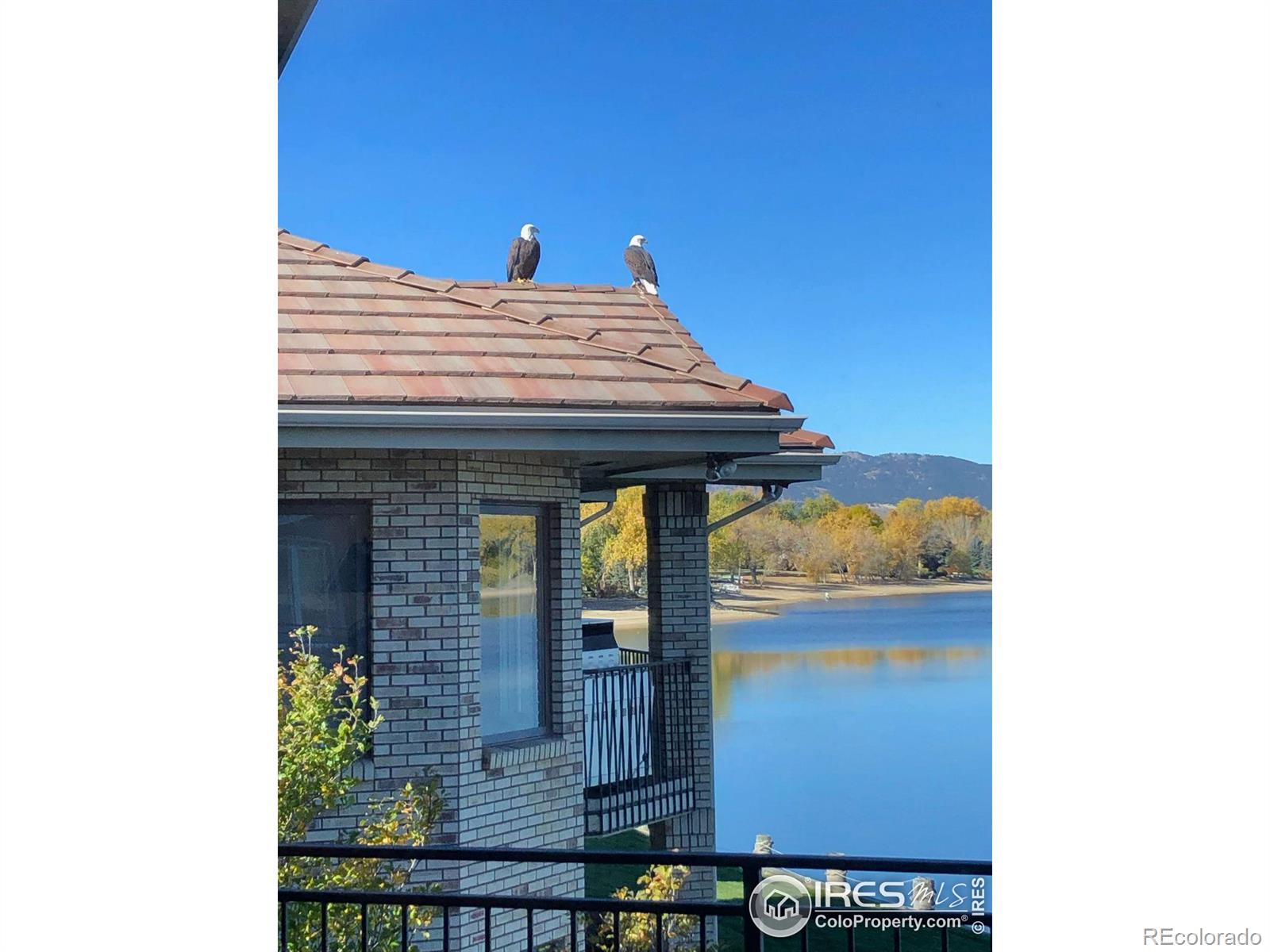 4143 Harbor Walk Dr, Fort Collins, CO 80525