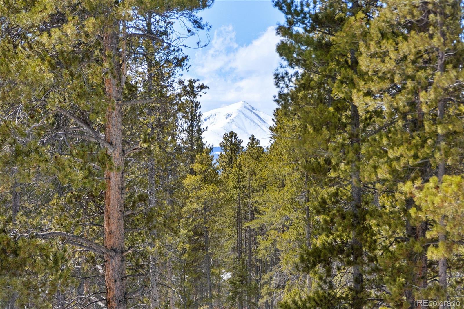 1860 Ridgeview Dr, Leadville, CO 80461