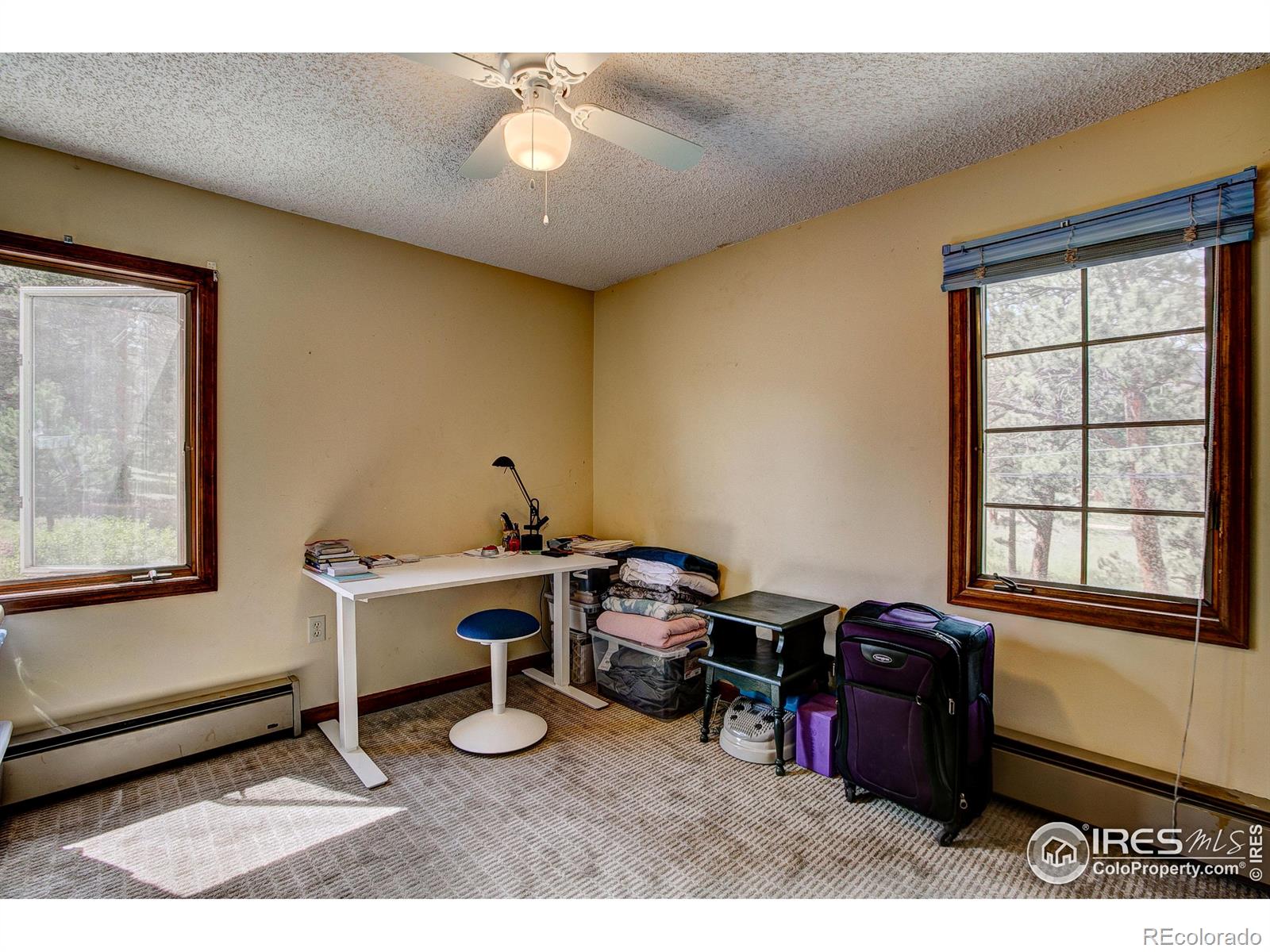 441 Chiquita Ln, Estes Park, CO 80517