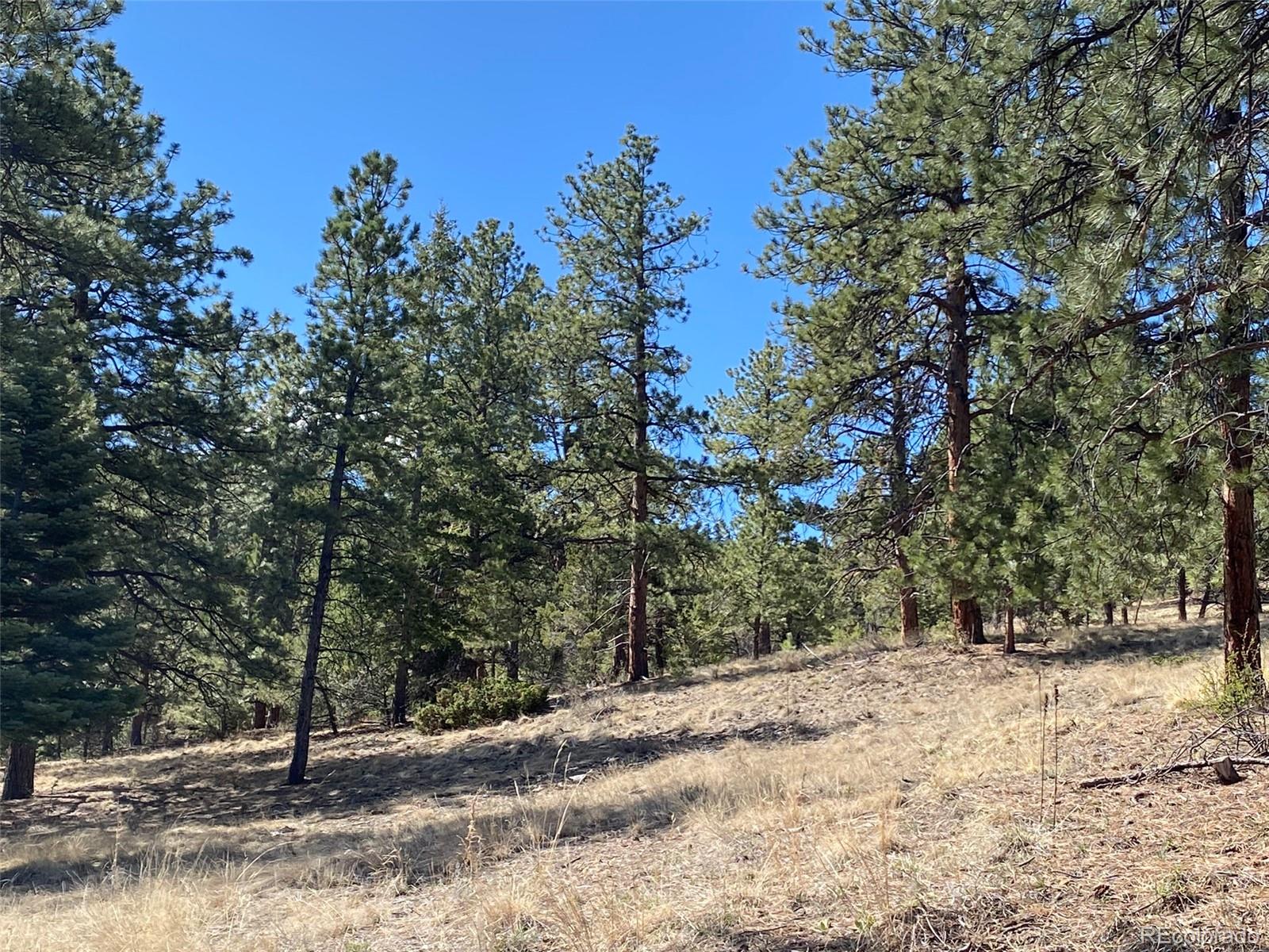 174 Sugarloaf Cir, Silver Cliff, CO 81252