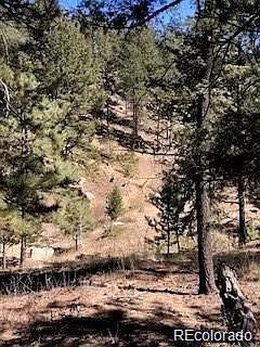 300 Overlook Cir, Sedalia, CO 80135