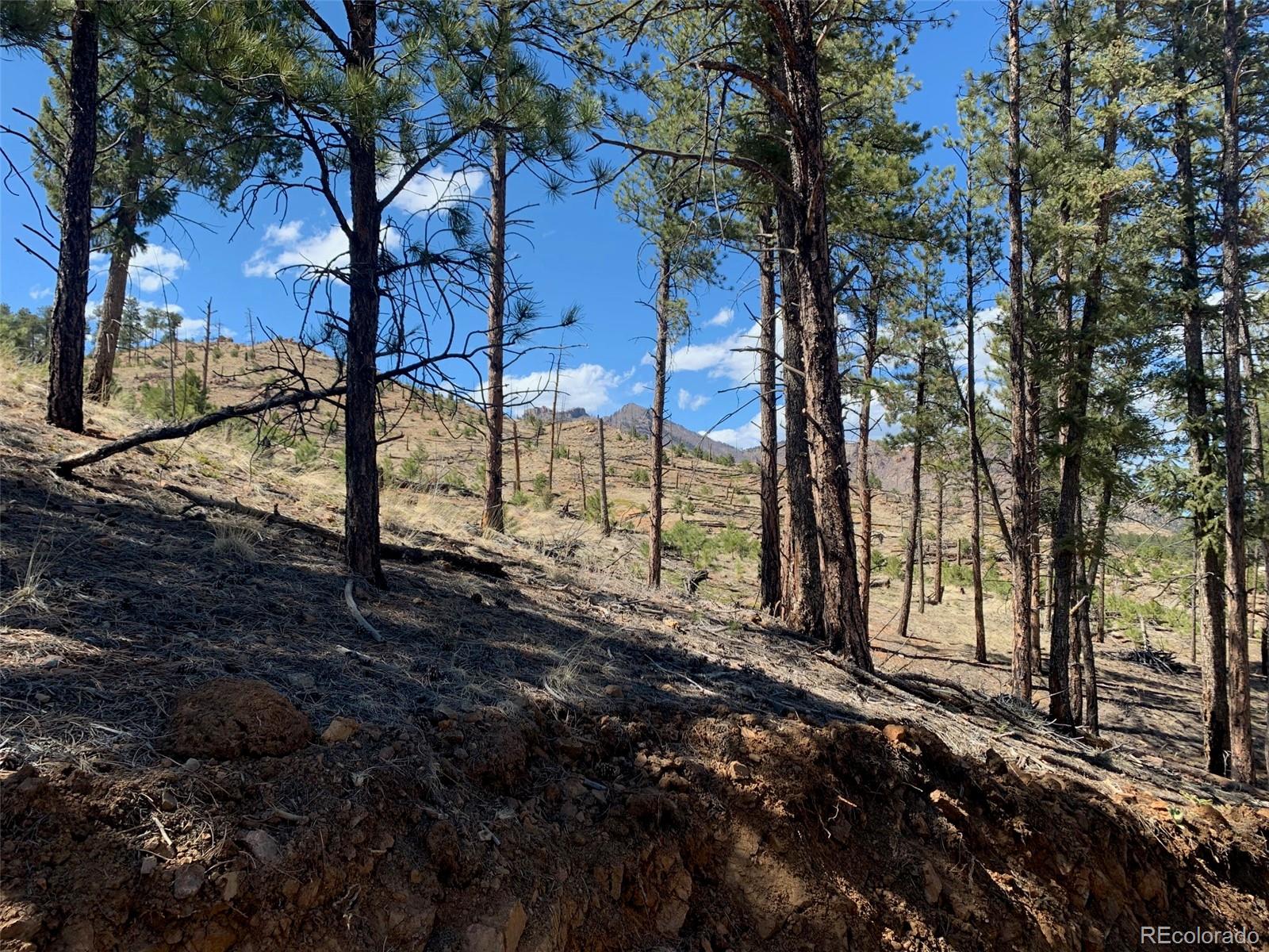 15421 Westcreek Rd, Woodland Park, CO 80863