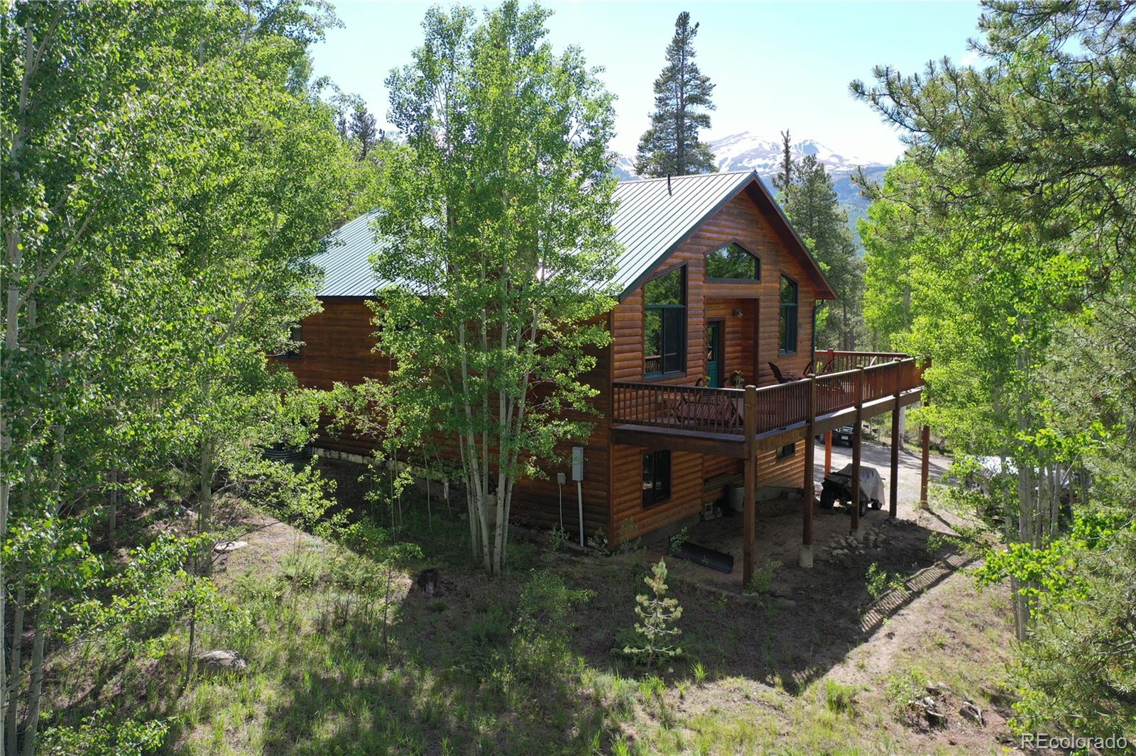 872 Lodgepole Dr, Twin Lakes, CO 81251