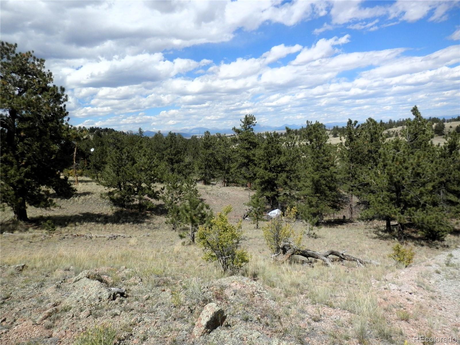 99 Pack Saddle Ct Lot 0452, Hartsel, CO 80449
