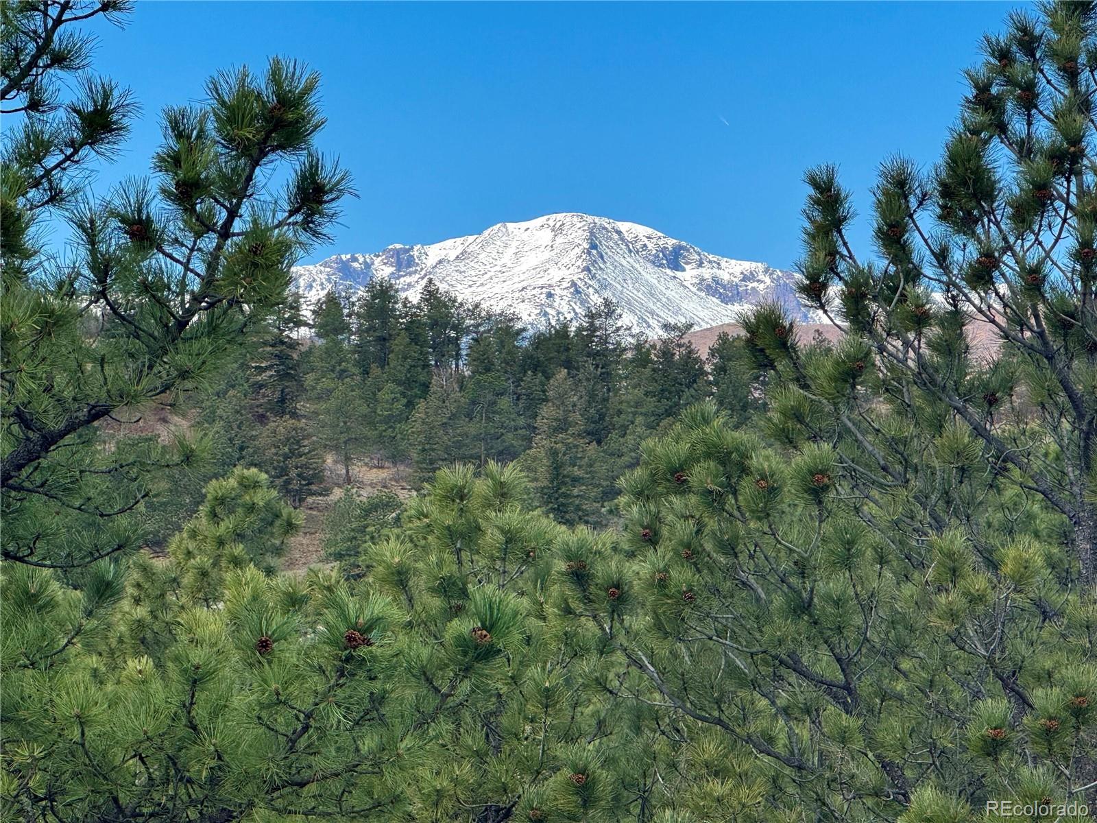 740 Timber Valley Rd, Colorado Springs, CO 80919
