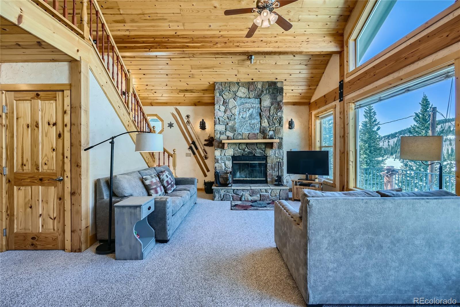 2698 County Road 4, Alma, CO 80420