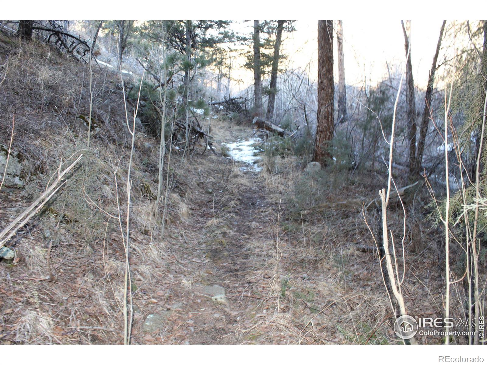 0 Gold Run Rd, Boulder, CO 80302
