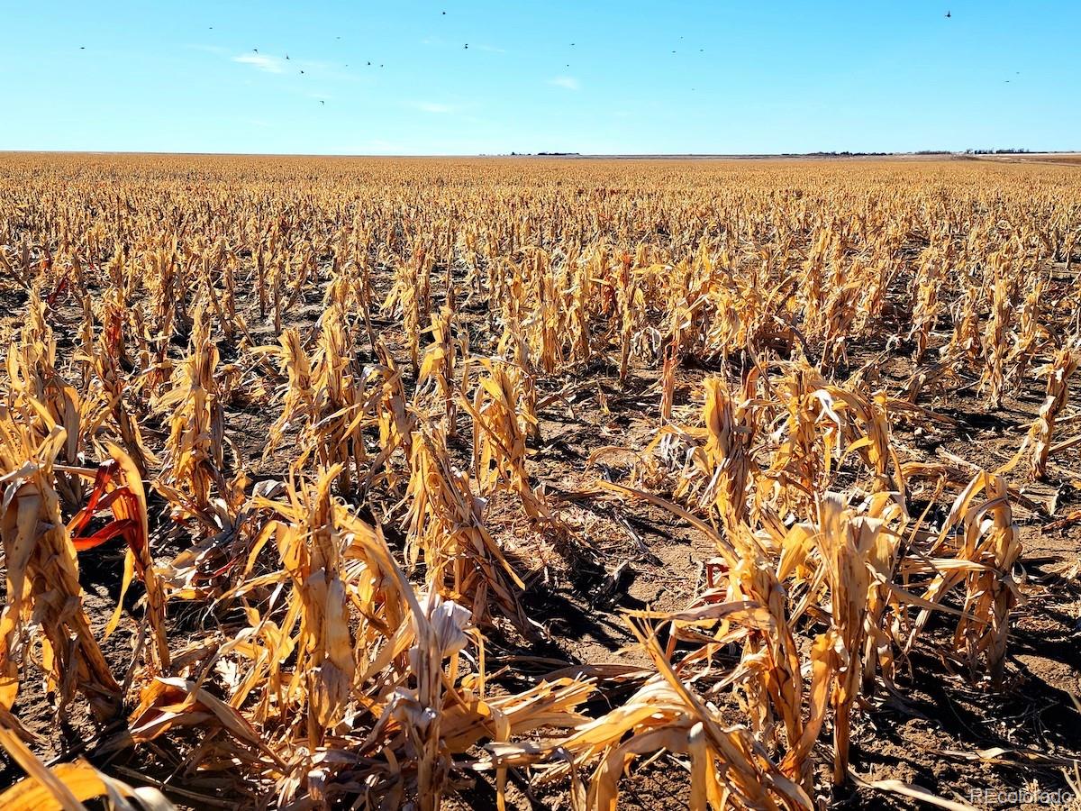 Tbd County Rd, Walsh, CO 81090