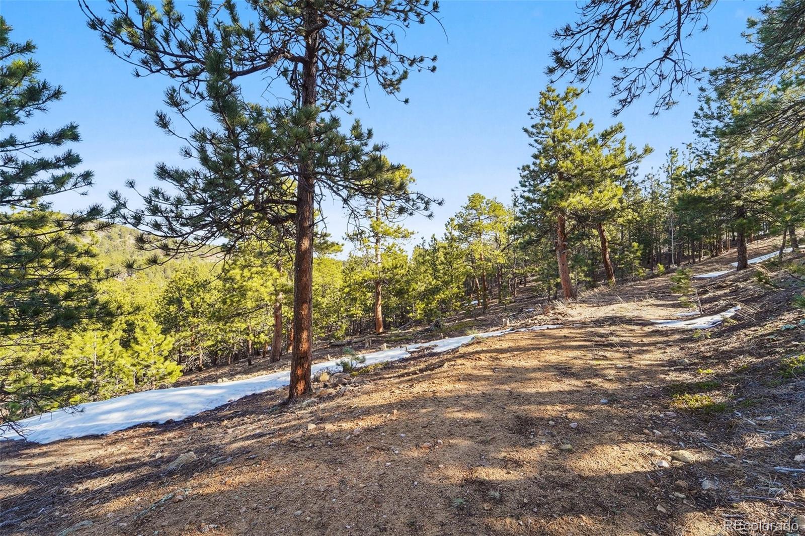 854 Crescent Lake Rd Lot 29, Golden, CO 80403