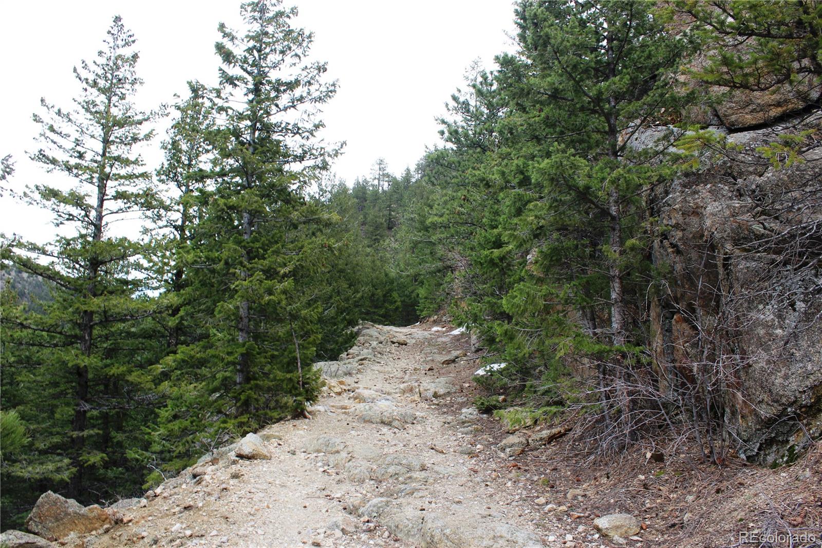 8333 Lefthand Canyon Dr, Jamestown, CO 80455