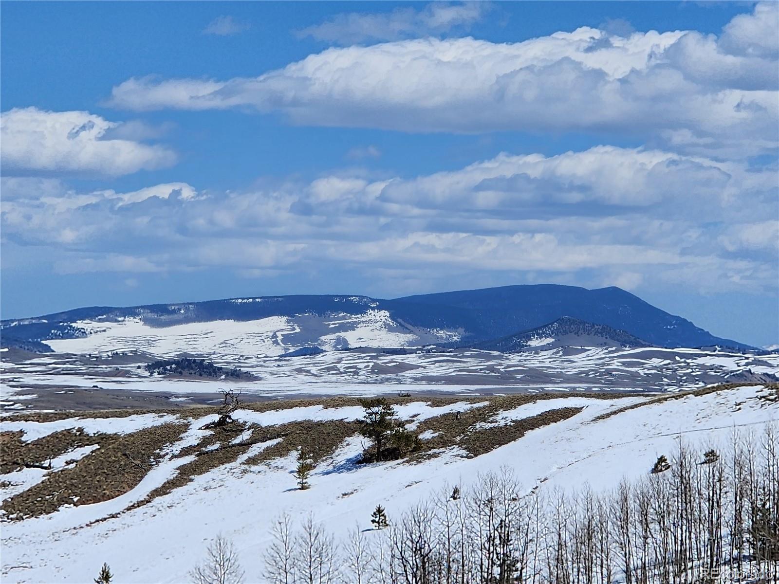 244 Brahma Cir, Hartsel, CO 80449