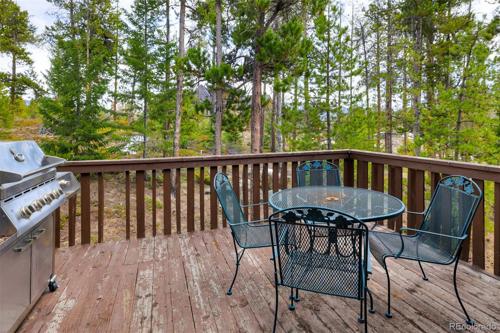 212 Cr 1040, Frisco, CO 80443