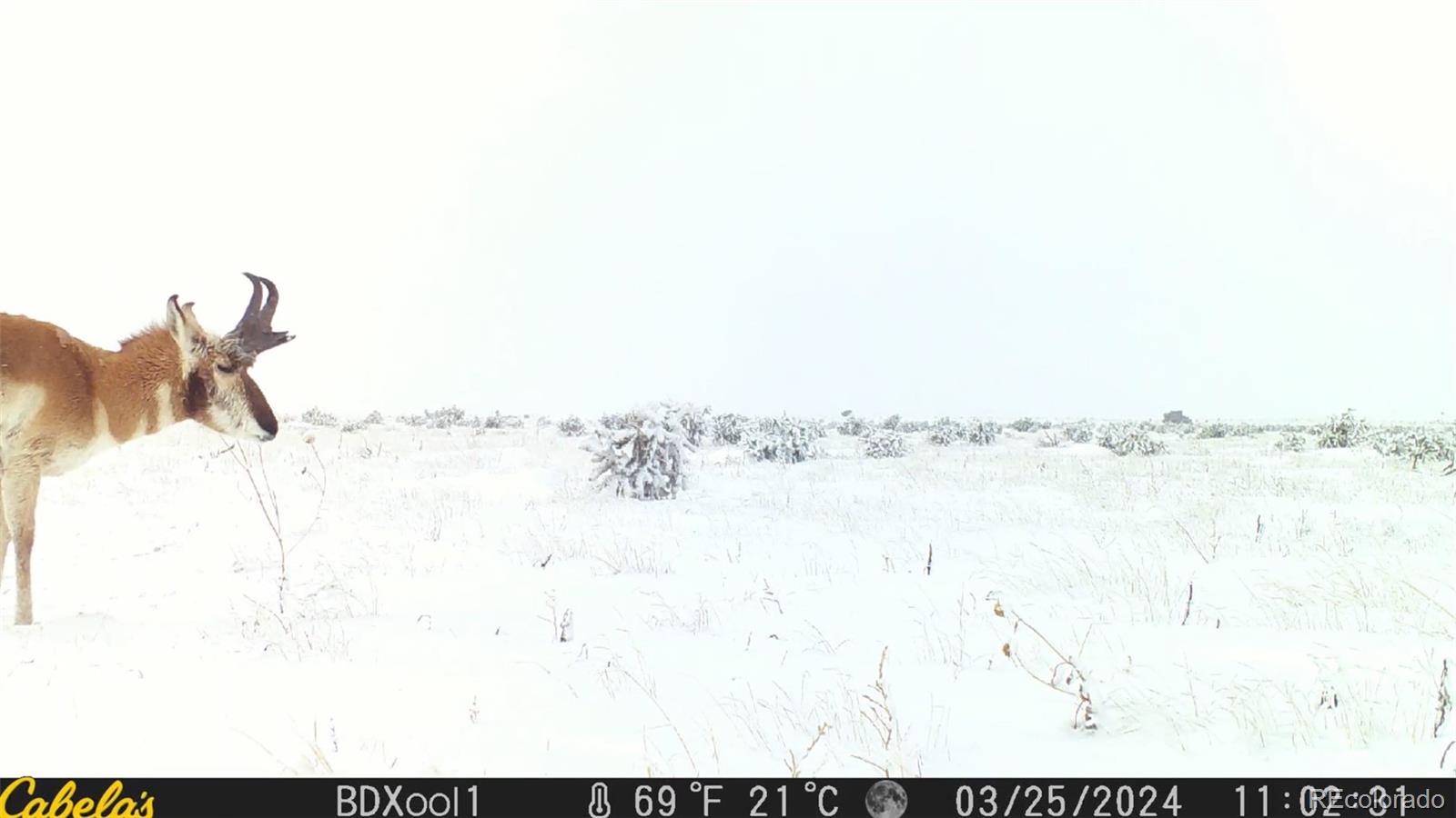 County Road 93 9, Model, CO 81059