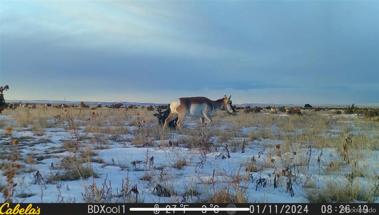 County Road 93 9, Model, CO 81059