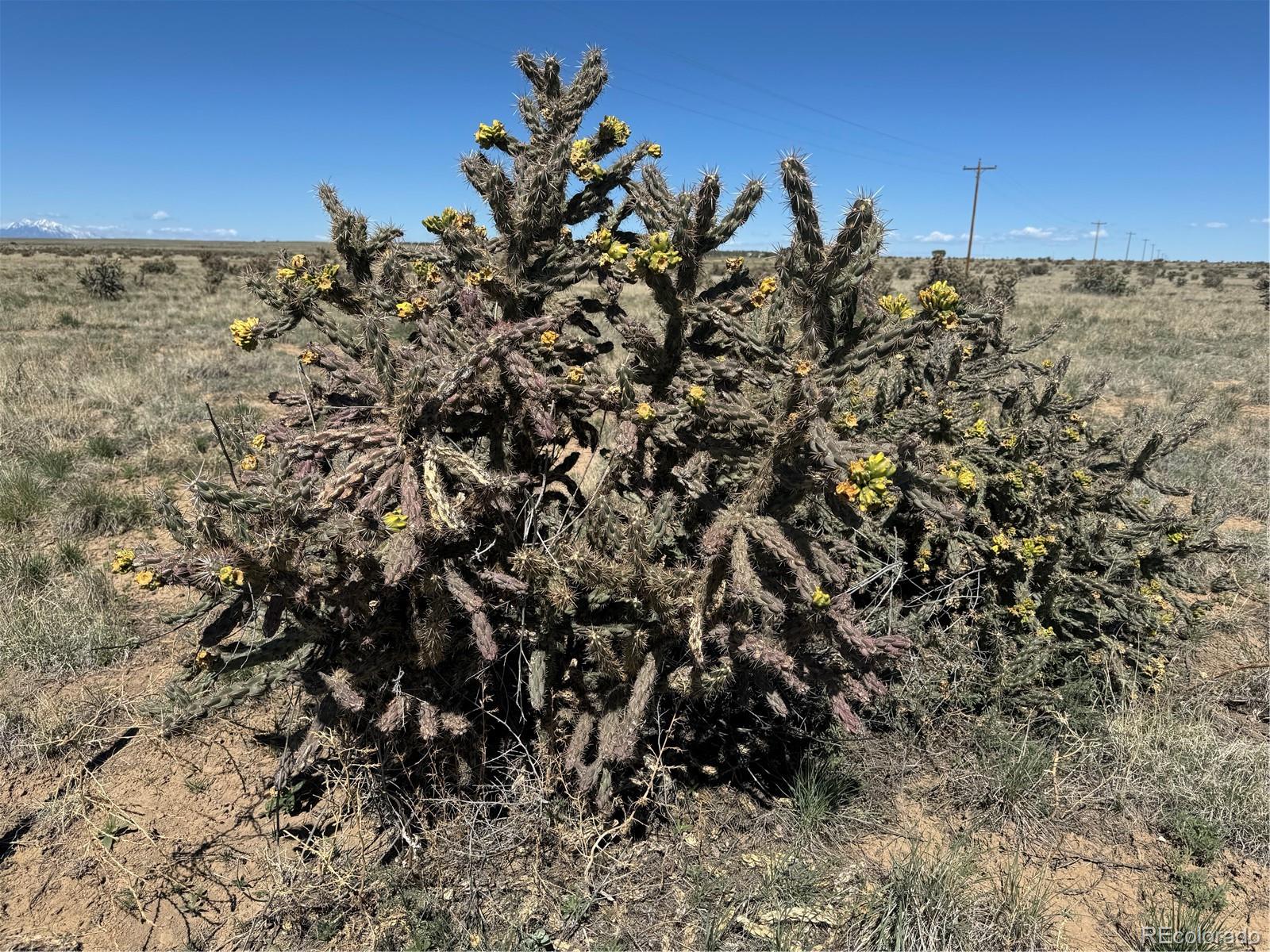 County Road 93 9, Model, CO 81059