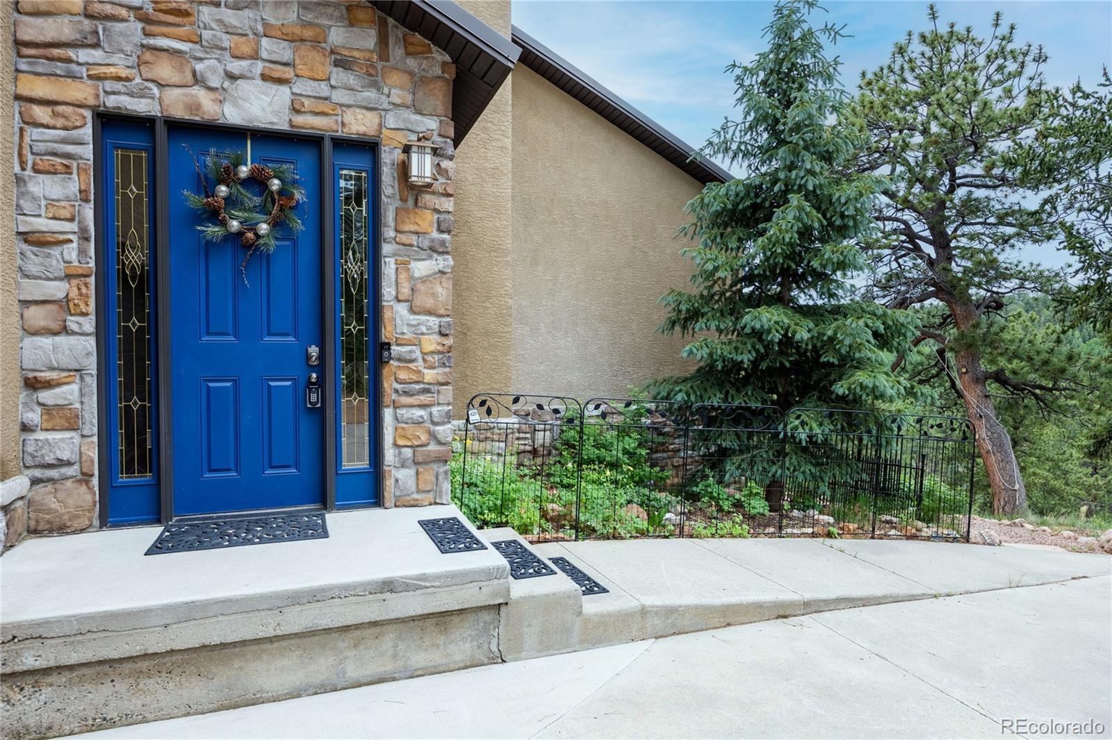 239 Wildlife Point, Divide, CO 80814
