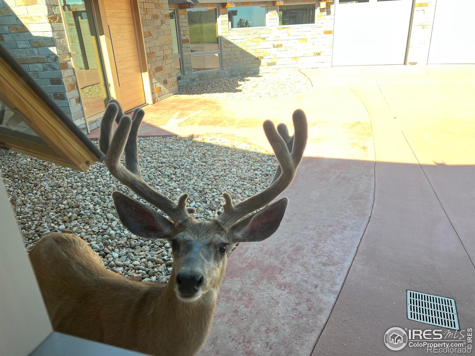 4604 Sunshine Canyon Dr, Boulder, CO 80302