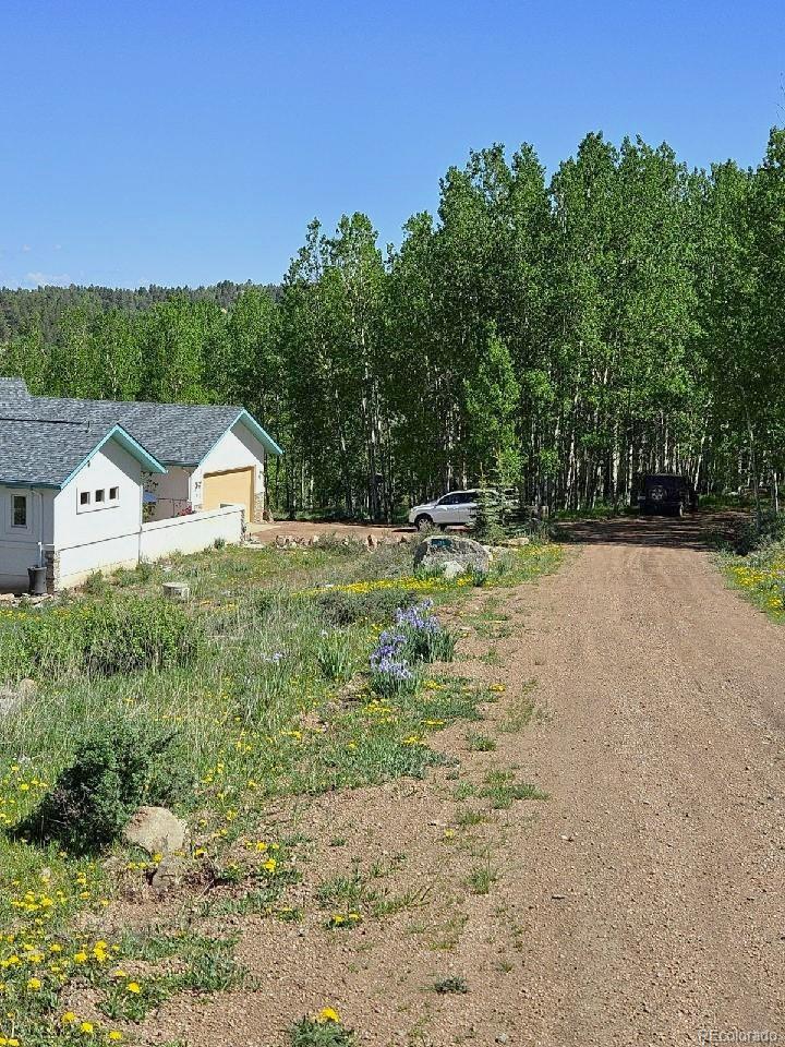 316 Troy Way, Cripple Creek, CO 80813