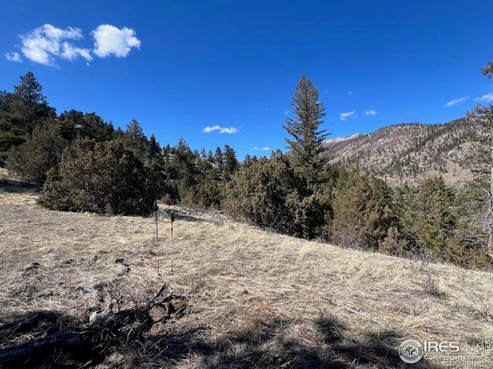469 Miller Fork Rd, Glen Haven, CO 80532