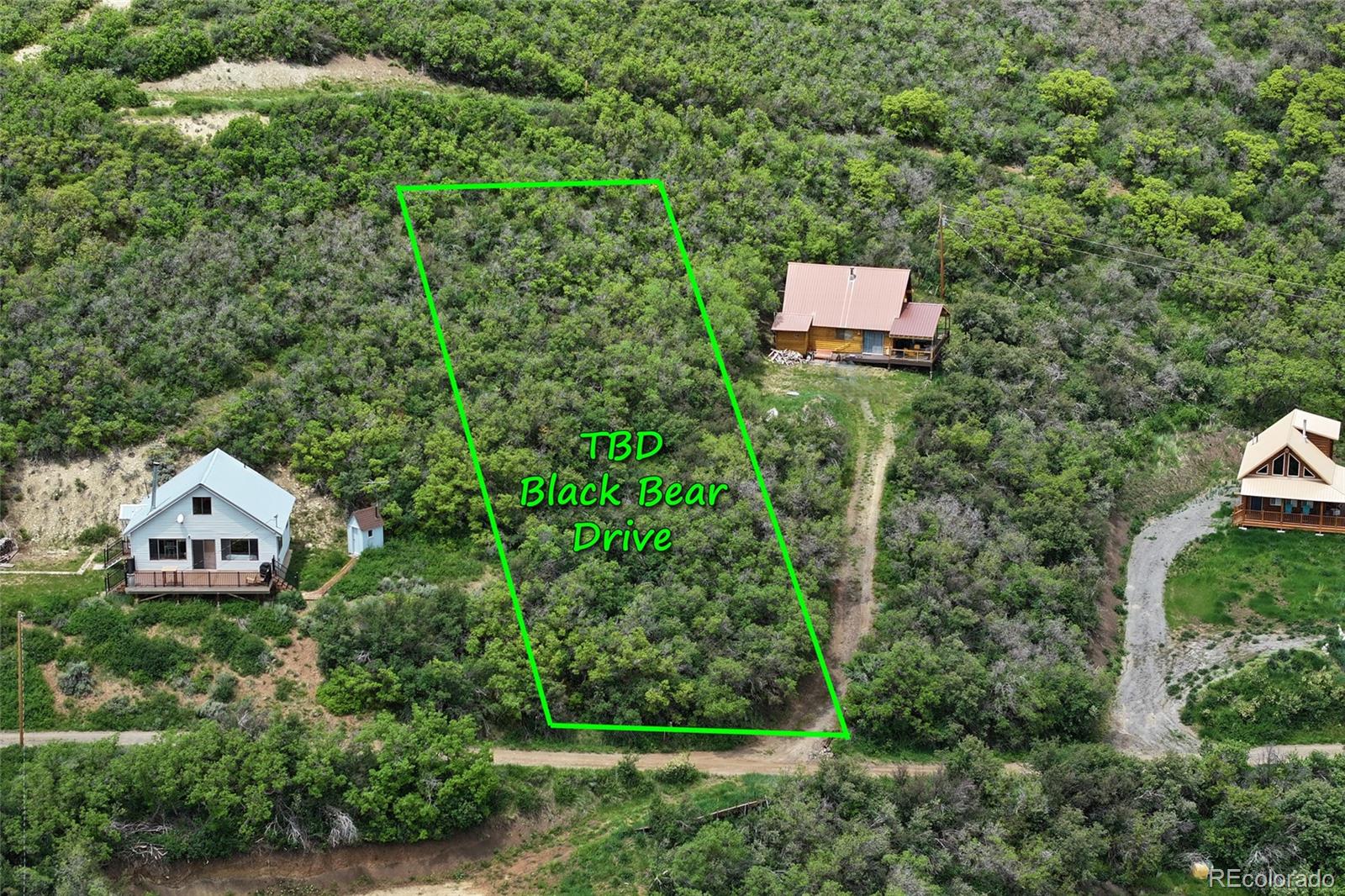 000 Black Bear Dr, Collbran, CO 81624