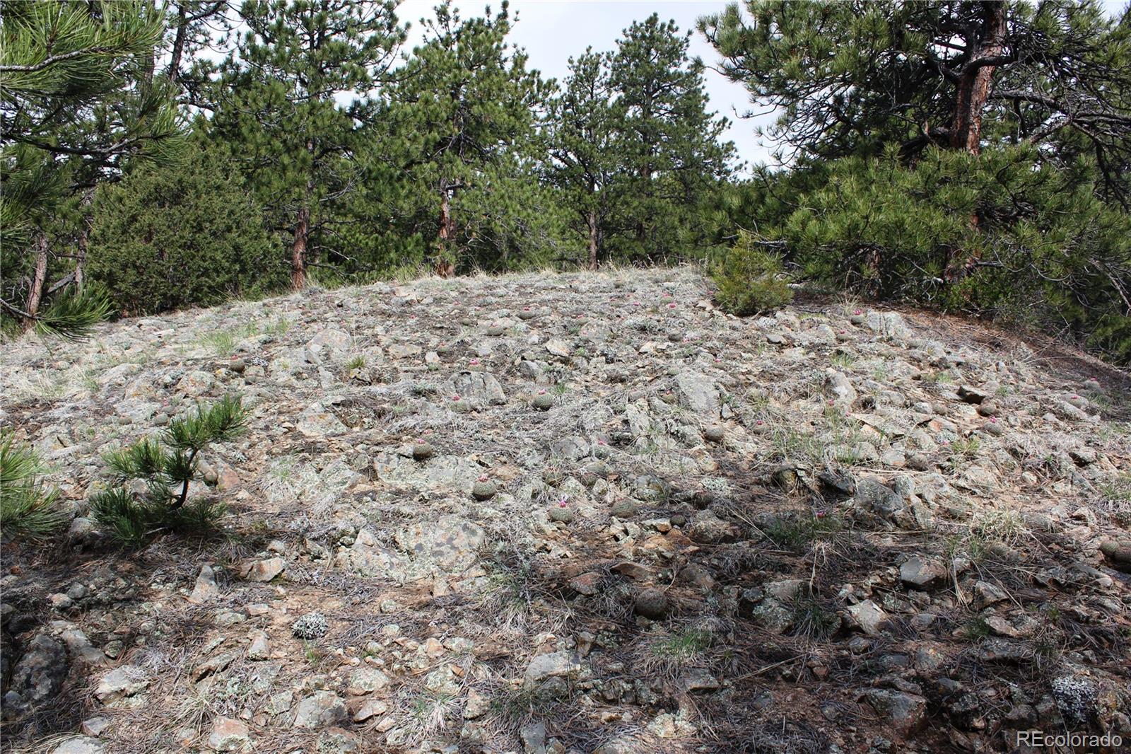 235 County Road 87 Lot 11280, Jamestown, CO 80455