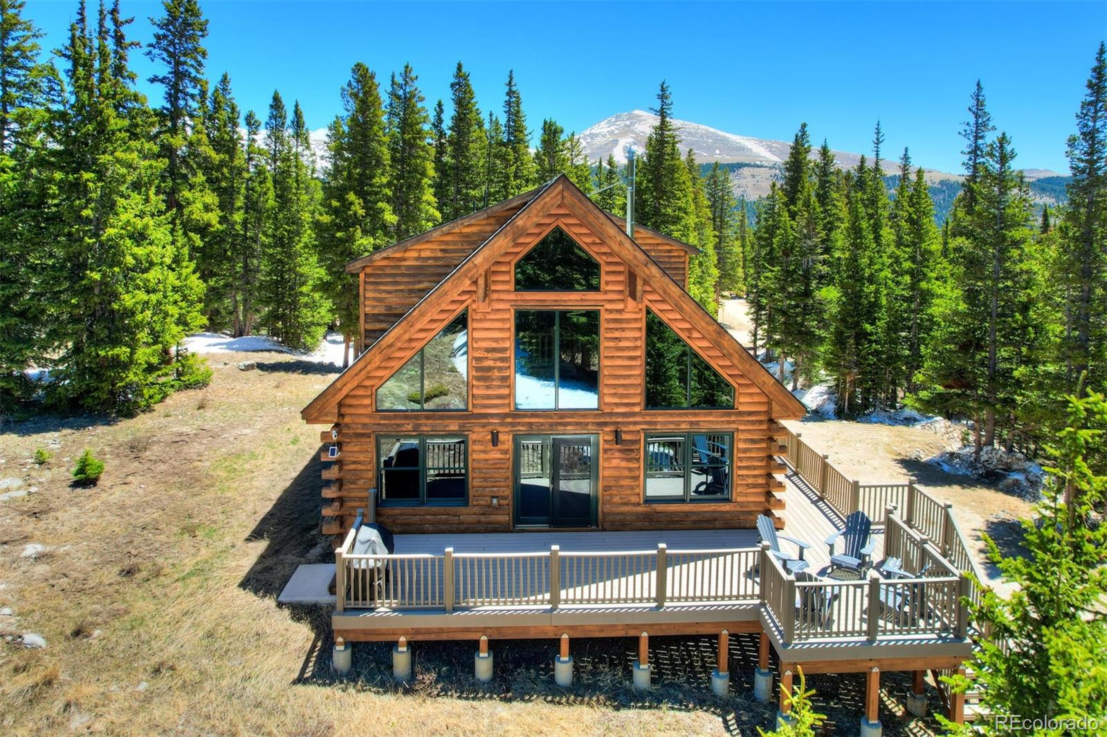 2795 Quartzville Rd, Alma, CO 80440