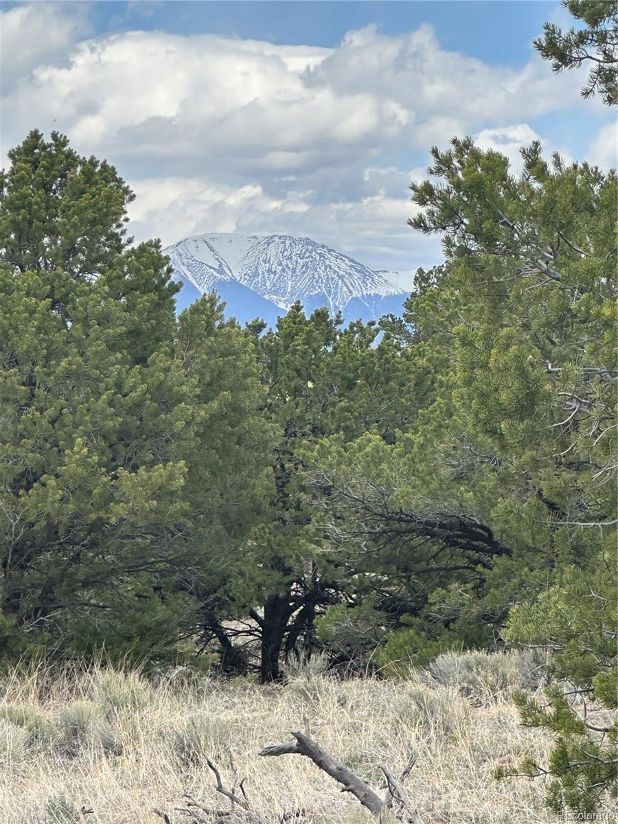 10 Mountain Springs Ln, Mosca, CO 81146