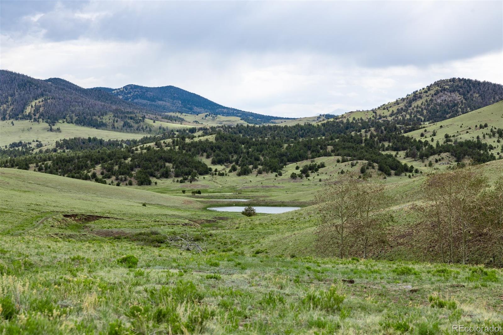 Co 9, Guffey, CO 80820
